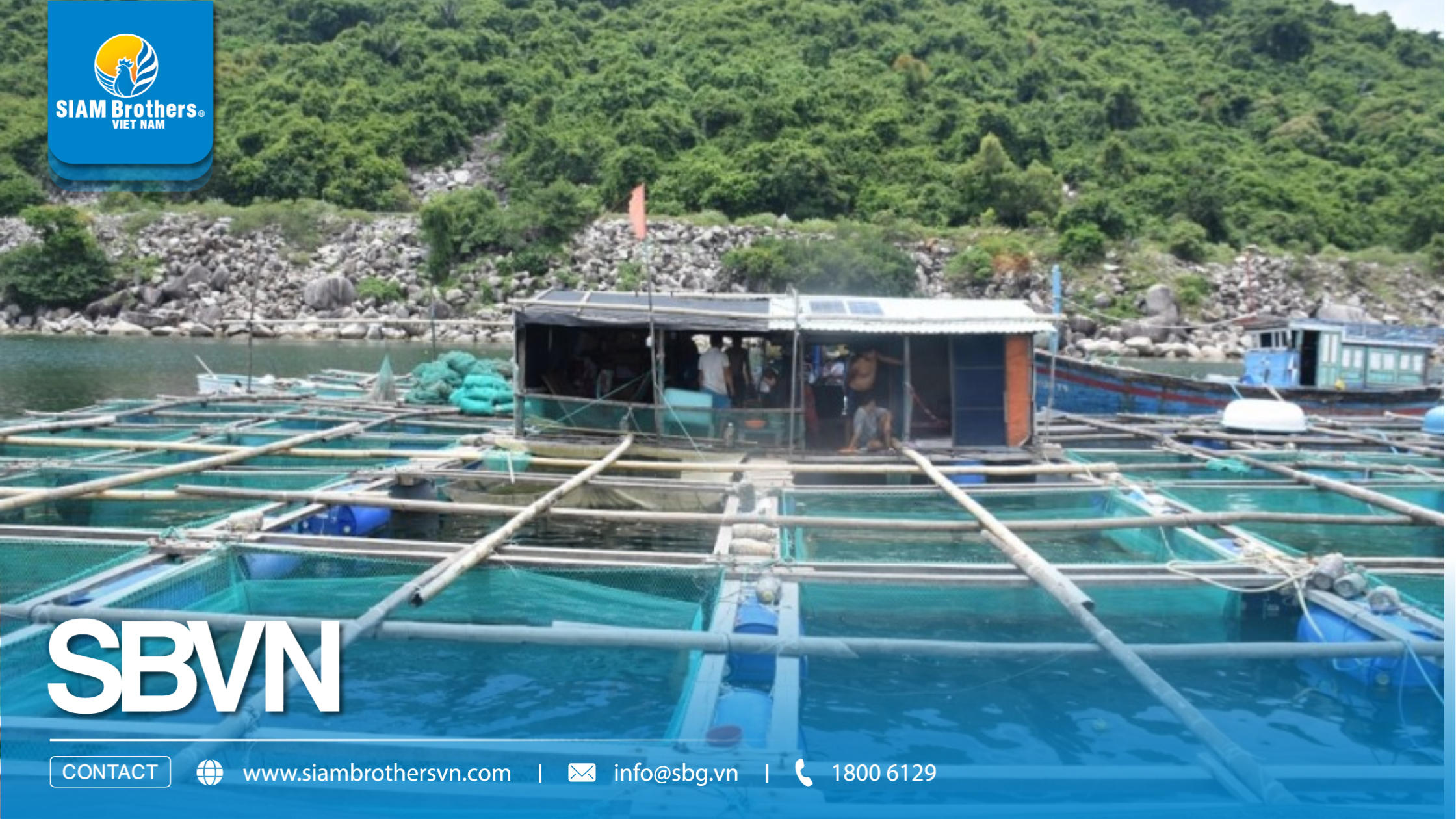 [Phú Yên] Hệ thống mô-đun phao lồng bè HDPE của SIAM Brothers Việt Nam tại Sông Cầu
