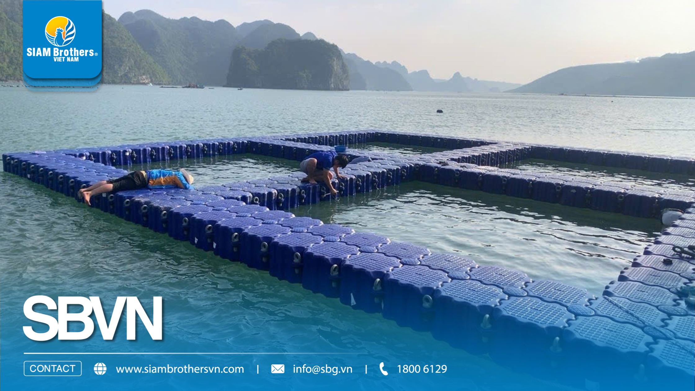 Quy trình xây dựng hệ thống nuôi cá lồng bè đạt chuẩn kỹ thuật