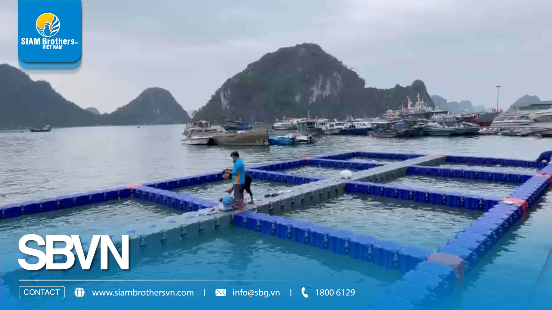 Quy trình xây dựng hệ thống nuôi cá lồng bè đạt chuẩn kỹ thuật
