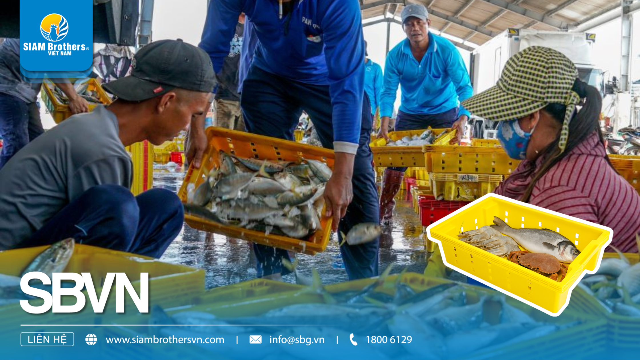 Khay cá là gì? Ứng dụng thực tế trong ngư nghiệp và bảo quản thủy sản
