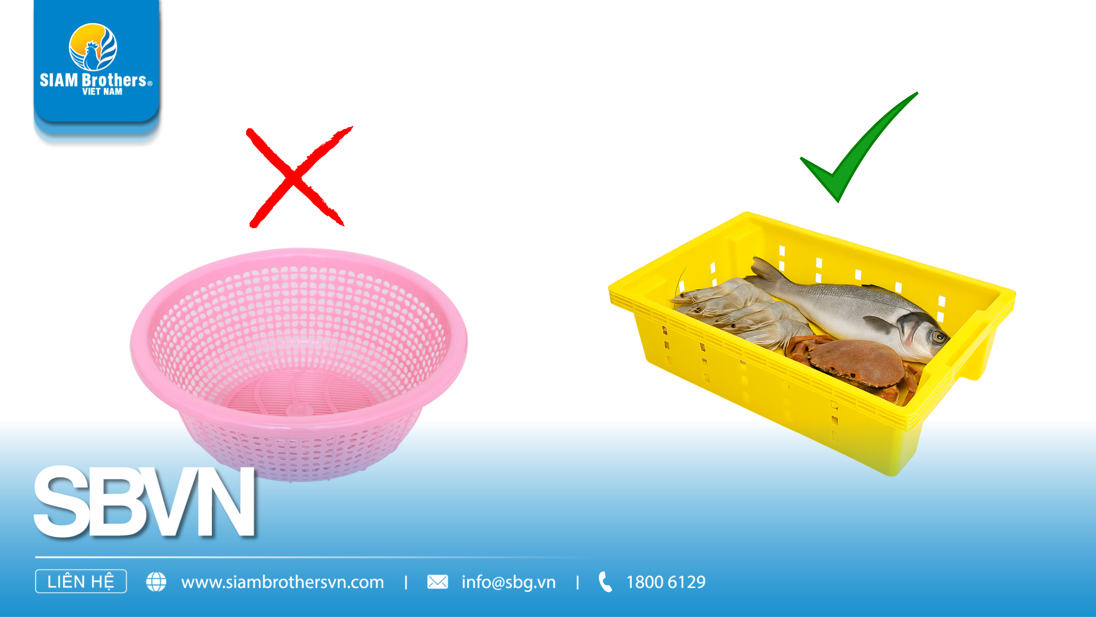 Khay cá là gì? Ứng dụng thực tế trong ngư nghiệp và bảo quản thủy sản