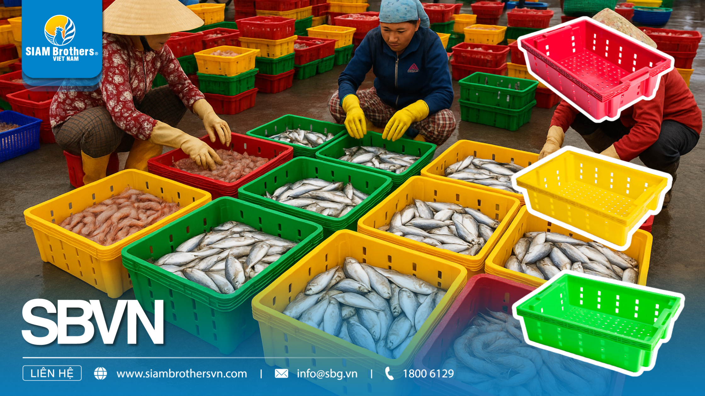 Phân loại khay đa năng: Khay nuôi cá, khay trồng rau, khay đựng thực phẩm – nên chọn loại nào?