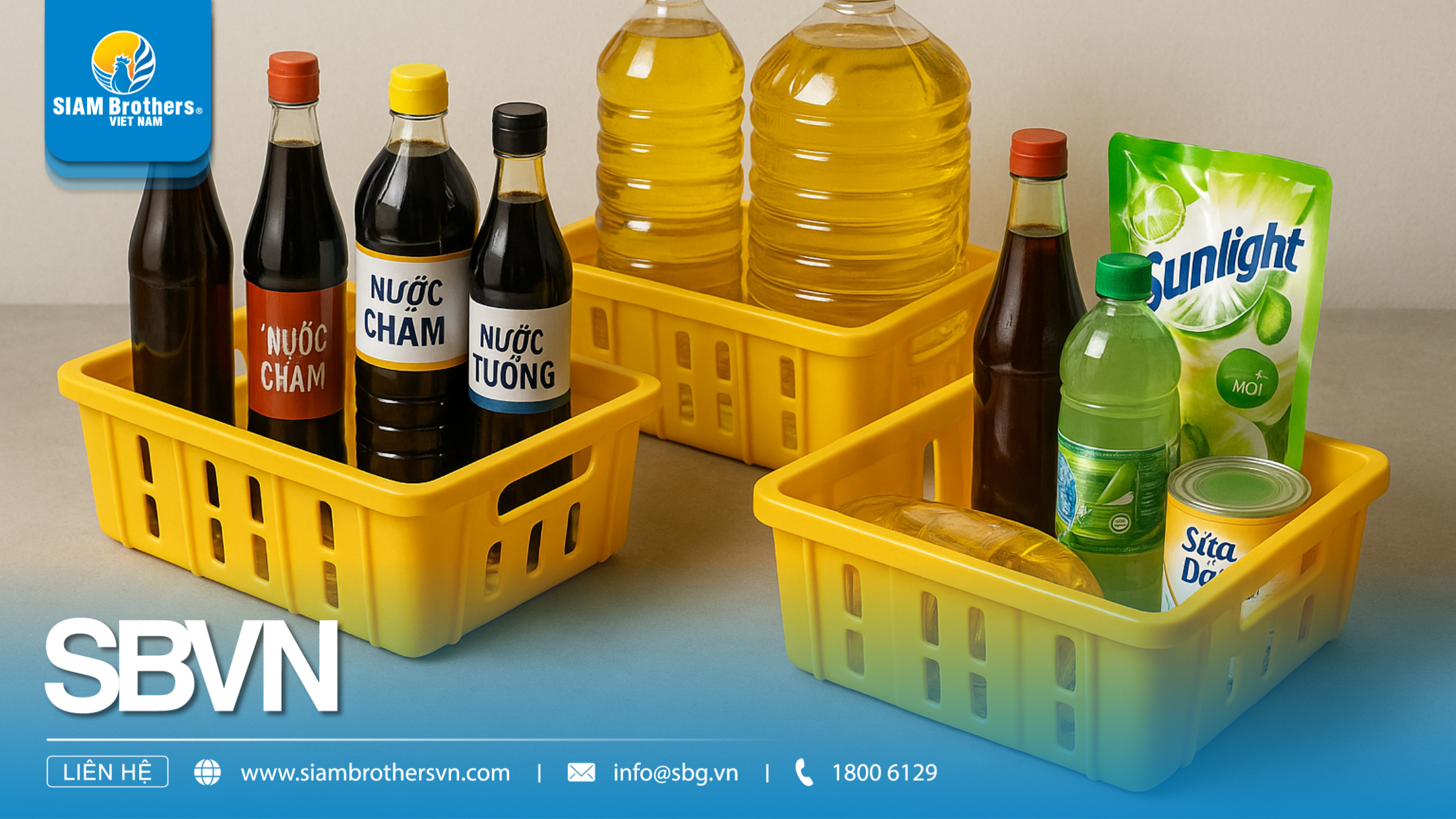 Phân loại khay đa năng: Khay nuôi cá, khay trồng rau, khay đựng thực phẩm – nên chọn loại nào?