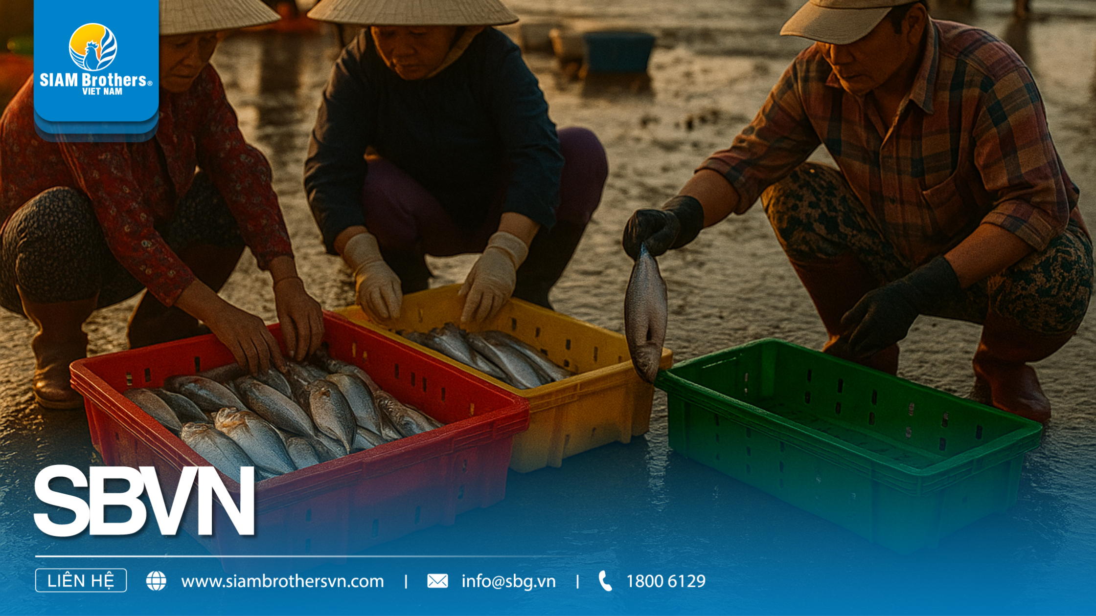 6 tiêu chí chọn khay đựng cá chất lượng – Giúp tiết kiệm chi phí và bảo quản tốt hơn