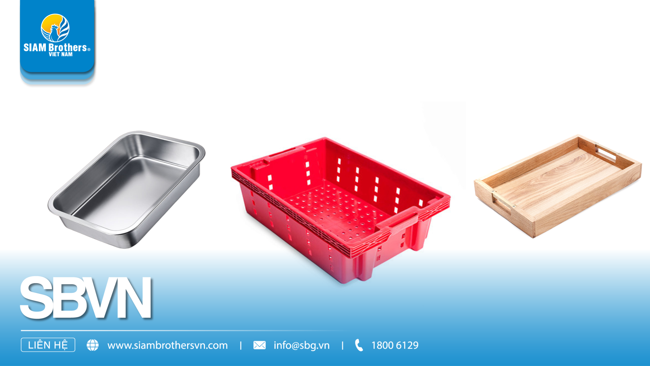 So sánh các loại khay đựng rau củ: Nhựa, inox, gỗ – Đâu là lựa chọn tối ưu?