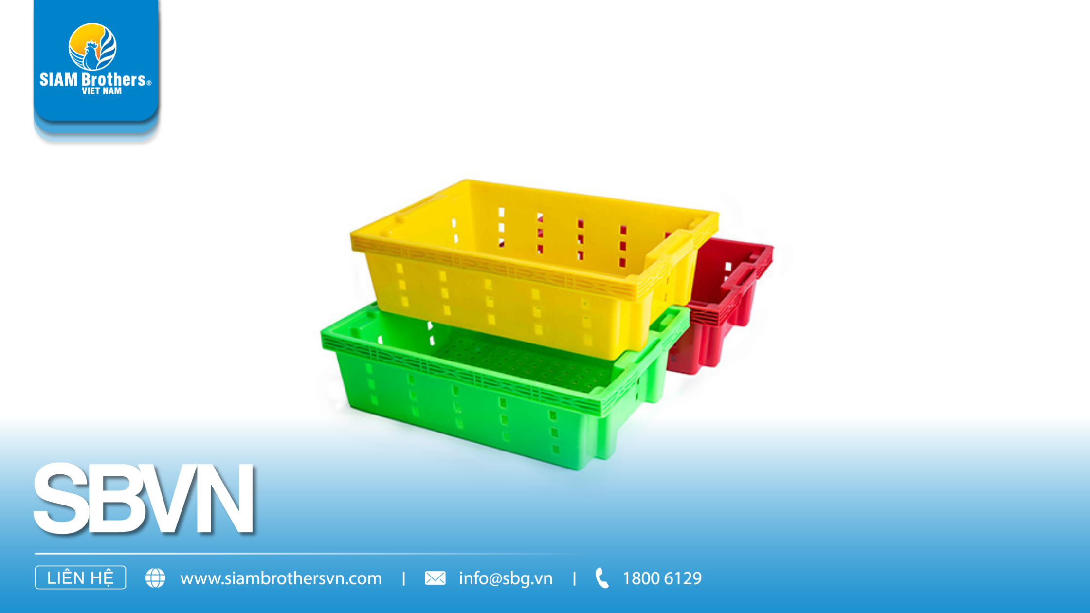 So sánh các loại khay đựng rau củ: Nhựa, inox, gỗ – Đâu là lựa chọn tối ưu?