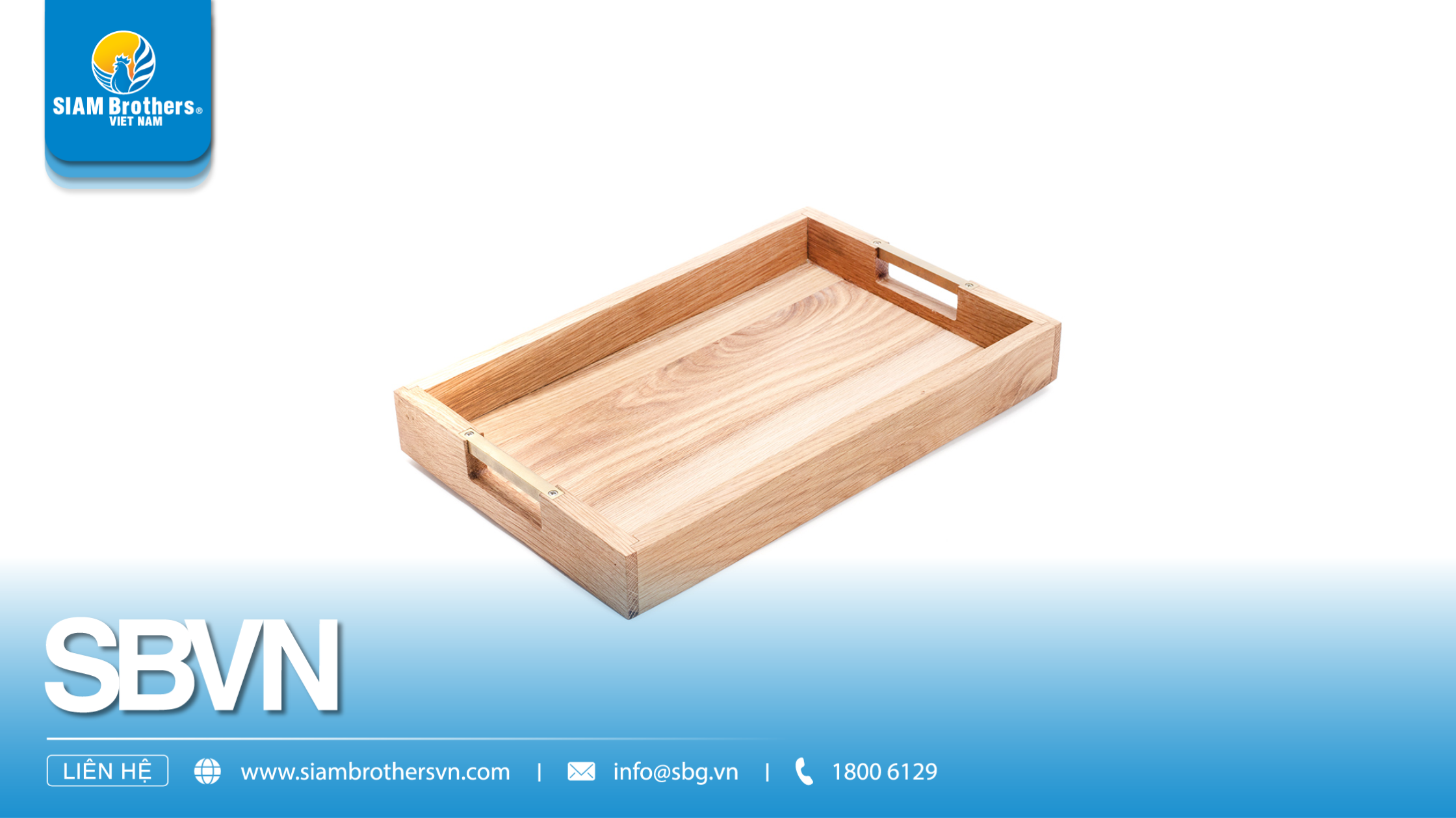 So sánh các loại khay đựng rau củ: Nhựa, inox, gỗ – Đâu là lựa chọn tối ưu?