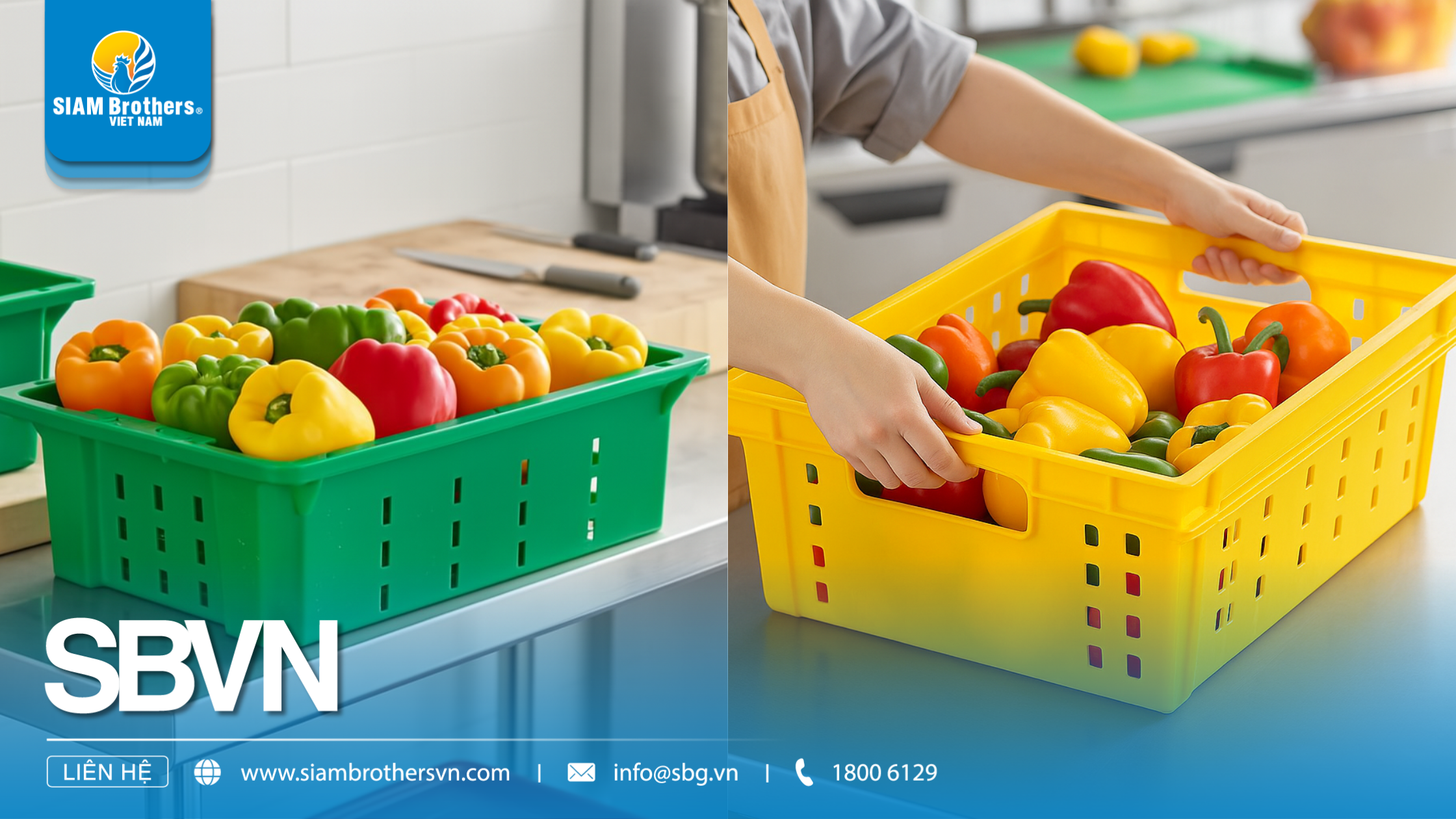 So sánh các loại khay đựng rau củ: Nhựa, inox, gỗ – Đâu là lựa chọn tối ưu?
