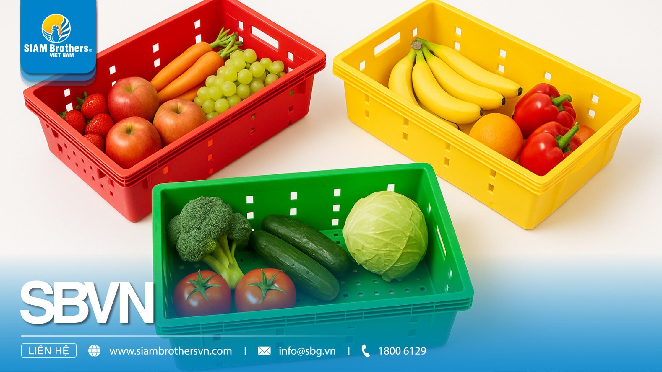 So sánh khay nhựa chuyên dụng và khay nhựa thông thường: Đâu là lựa chọn tối ưu?