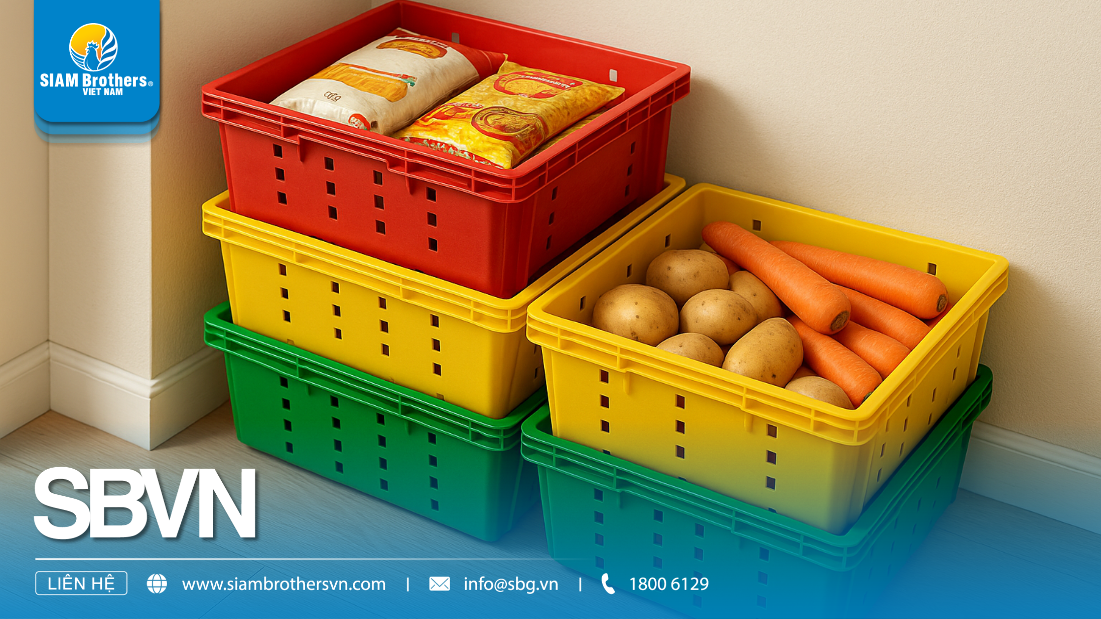 So sánh khay nhựa chuyên dụng và khay nhựa thông thường: Đâu là lựa chọn tối ưu?