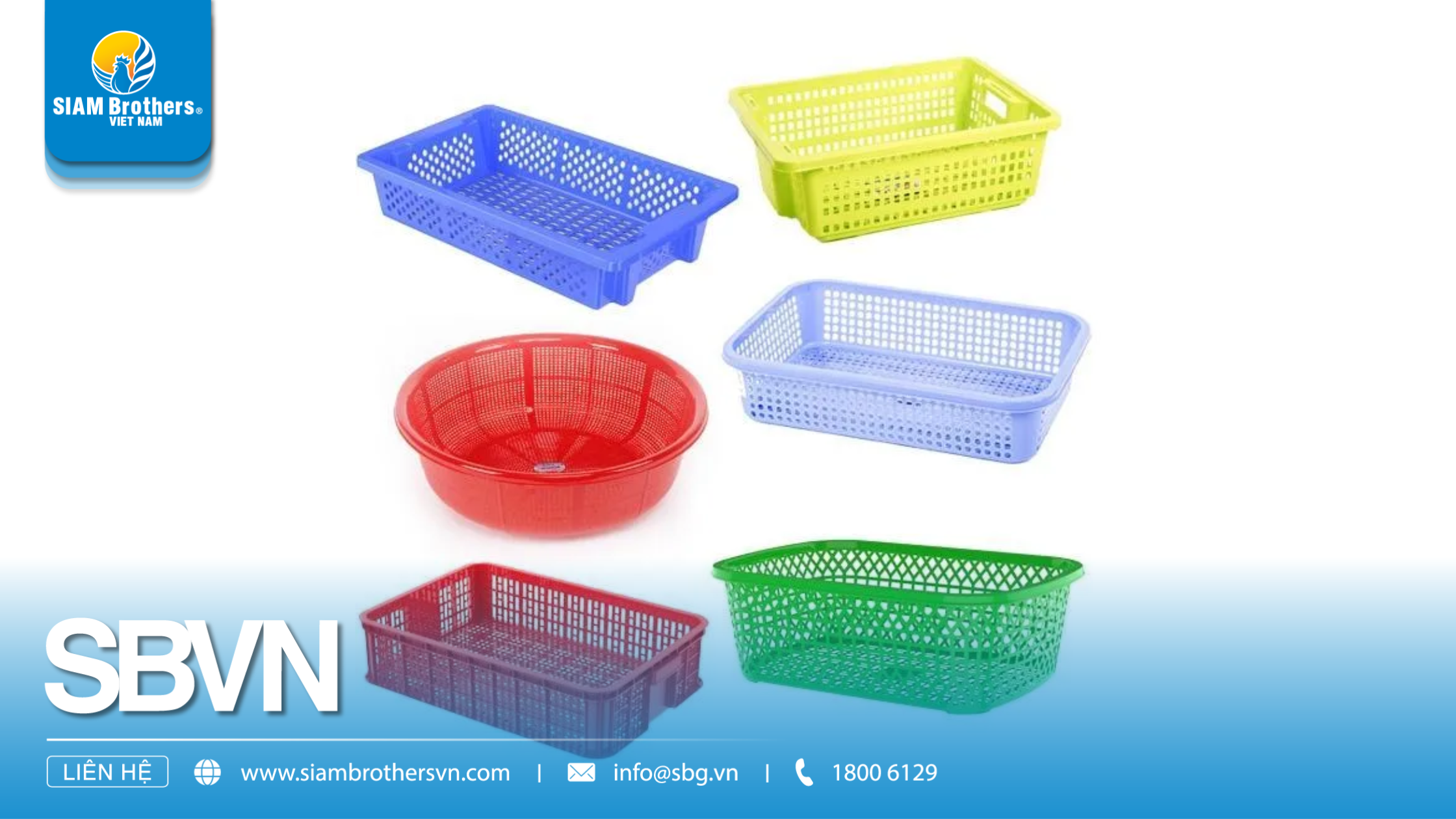So sánh khay nhựa chuyên dụng và khay nhựa thông thường: Đâu là lựa chọn tối ưu?