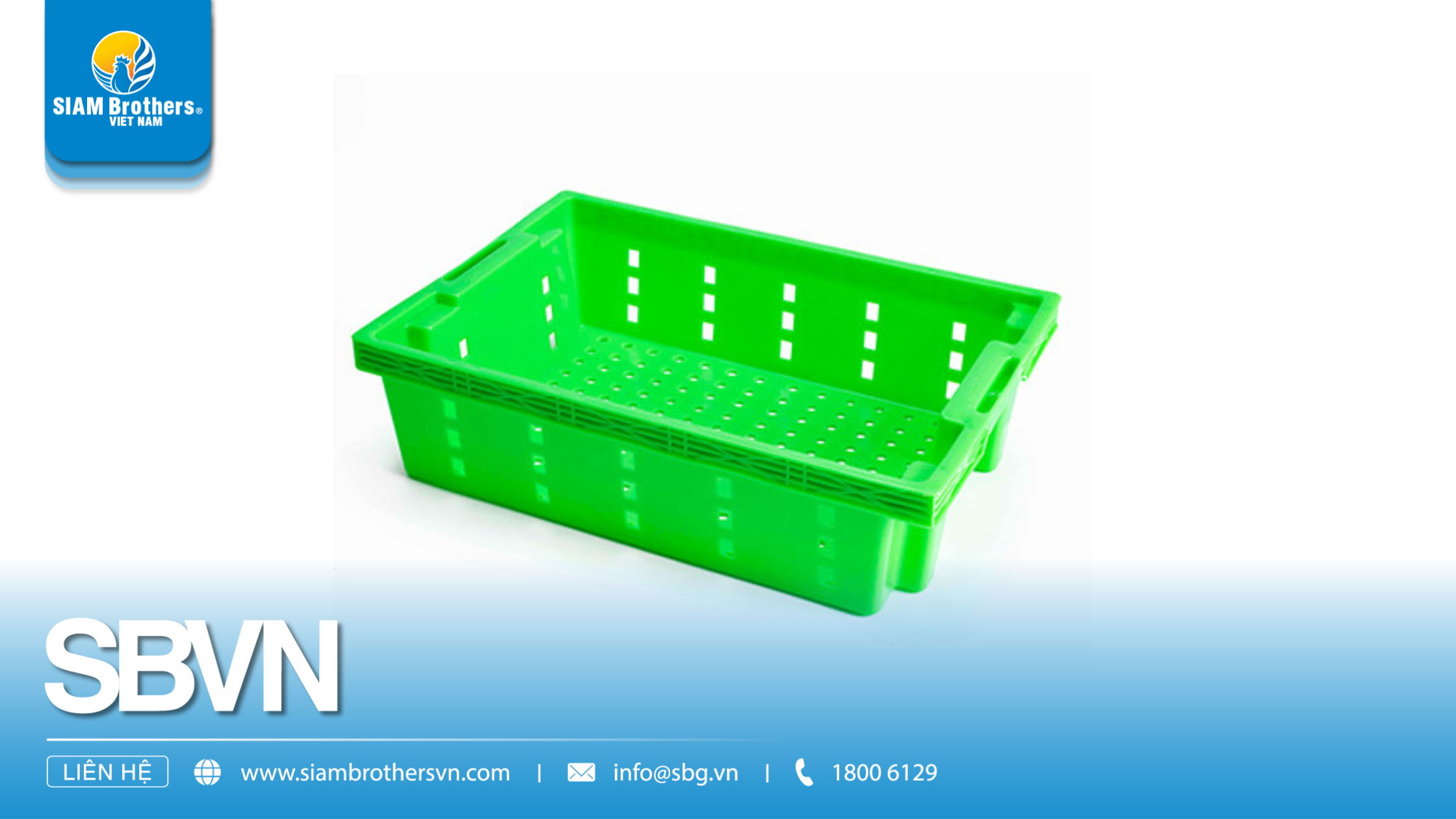 So sánh khay nhựa có lỗ và không lỗ – Loại nào phù hợp với nhu cầu của bạn?