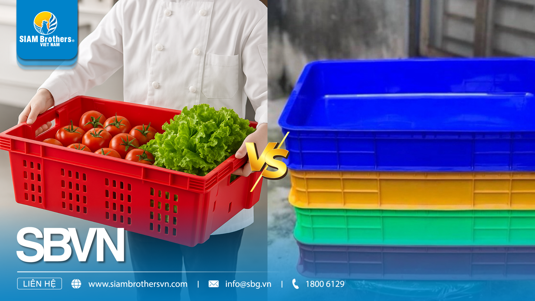 So sánh khay nhựa có lỗ và không lỗ – Loại nào phù hợp với nhu cầu của bạn?
