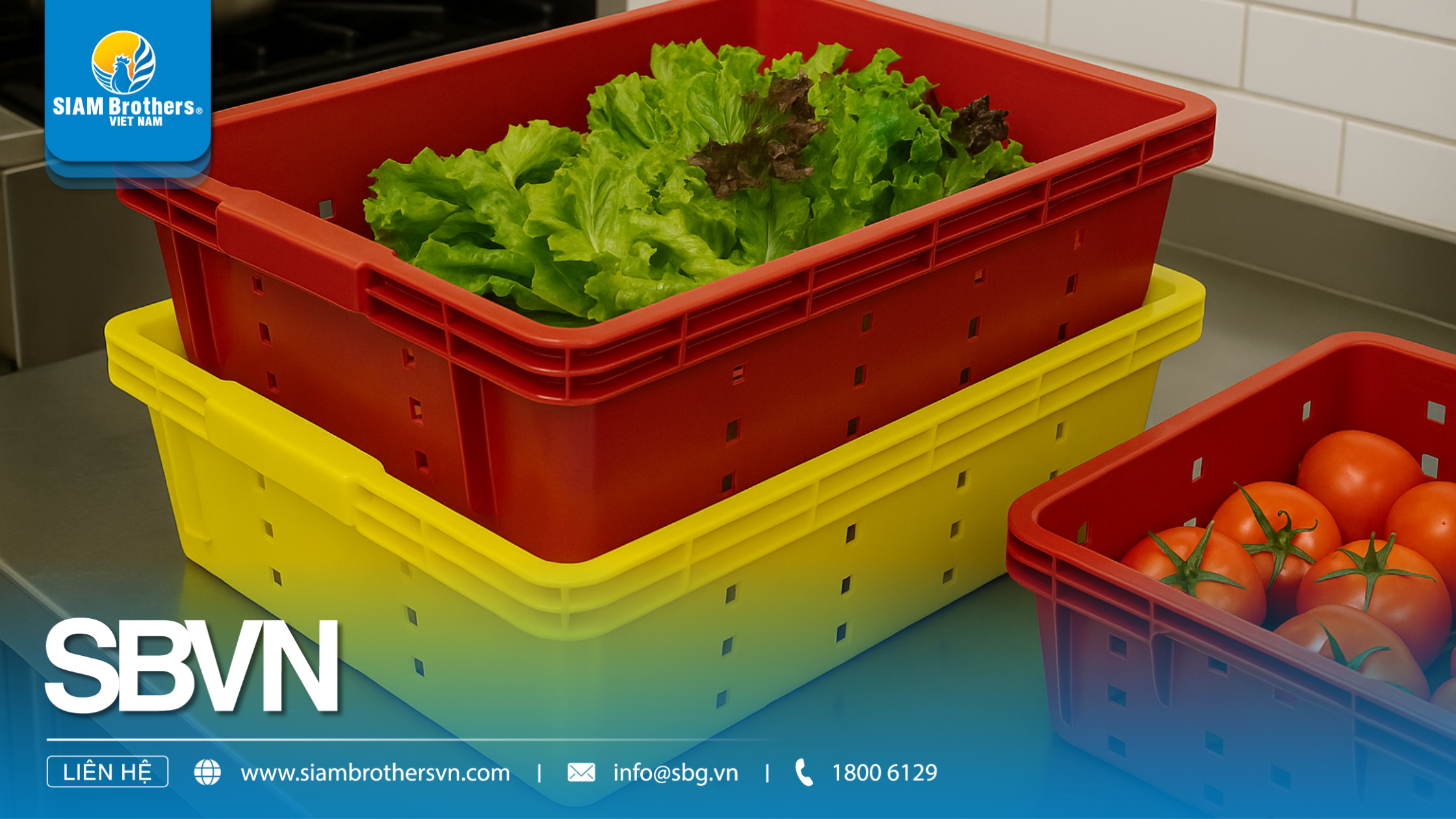 Khay nhựa công nghiệp loại lớn là gì? Ứng dụng thực tế trong sản xuất & logistics