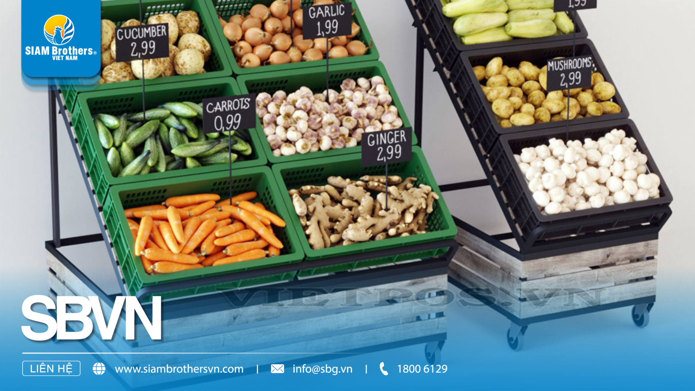 Khay nhựa công nghiệp loại lớn là gì? Ứng dụng thực tế trong sản xuất & logistics