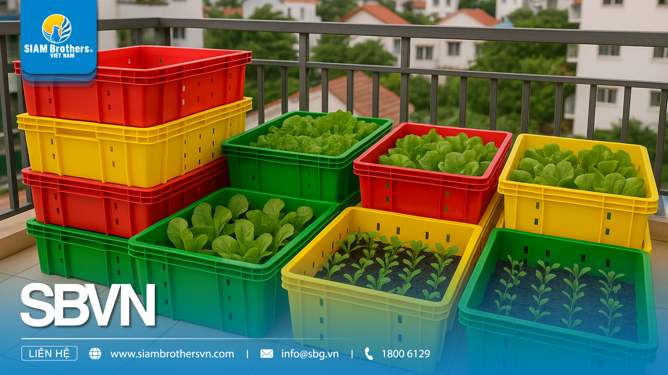 Khay nhựa dài trồng cây — Hướng dẫn chi tiết: chọn kích thước, vật liệu và cách ươm hạt hiệu quả
