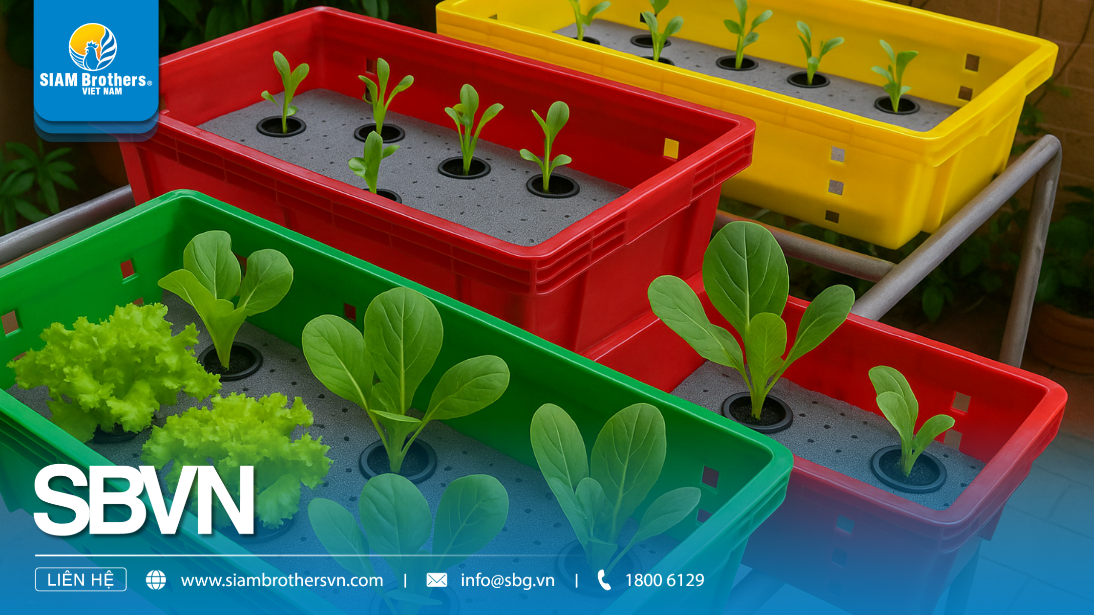 Khay nhựa dài trồng cây — Hướng dẫn chi tiết: chọn kích thước, vật liệu và cách ươm hạt hiệu quả