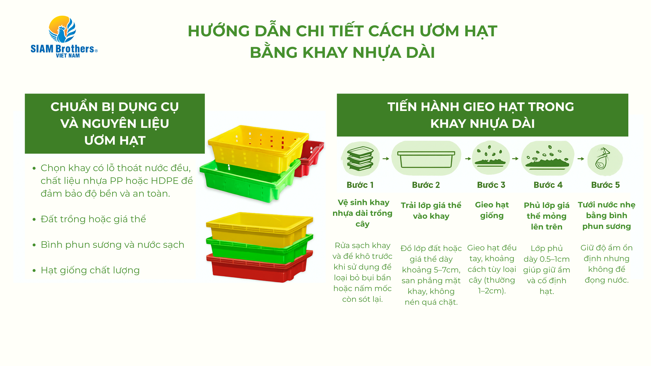 Khay nhựa dài trồng cây — Hướng dẫn chi tiết: chọn kích thước, vật liệu và cách ươm hạt hiệu quả