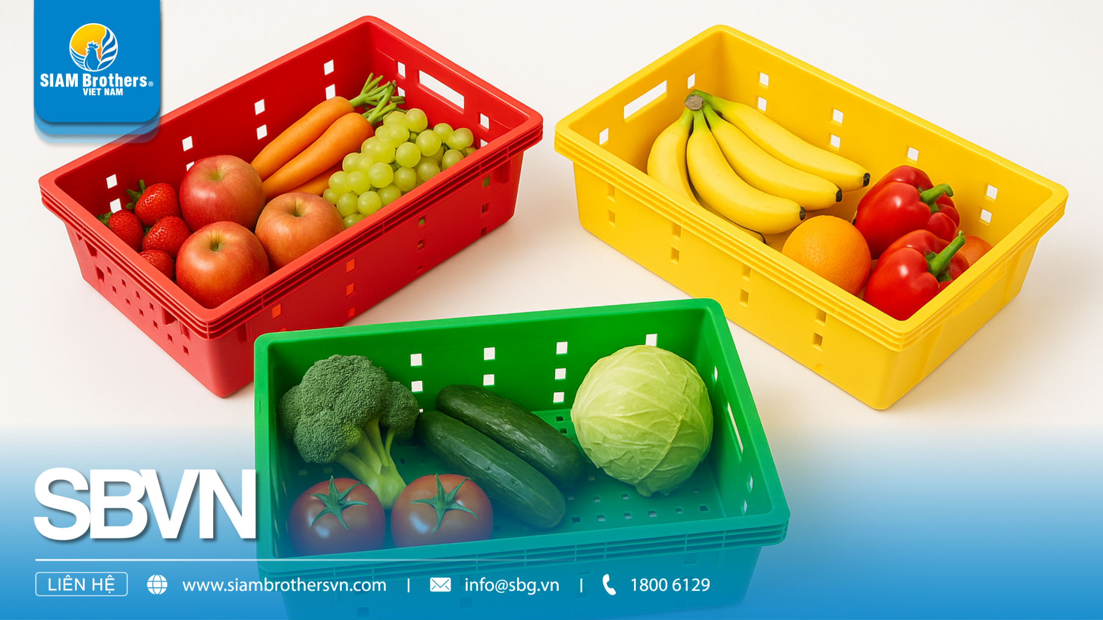 Khay nhựa HDPE là gì? Ưu điểm vượt trội so với các loại khay thông thường