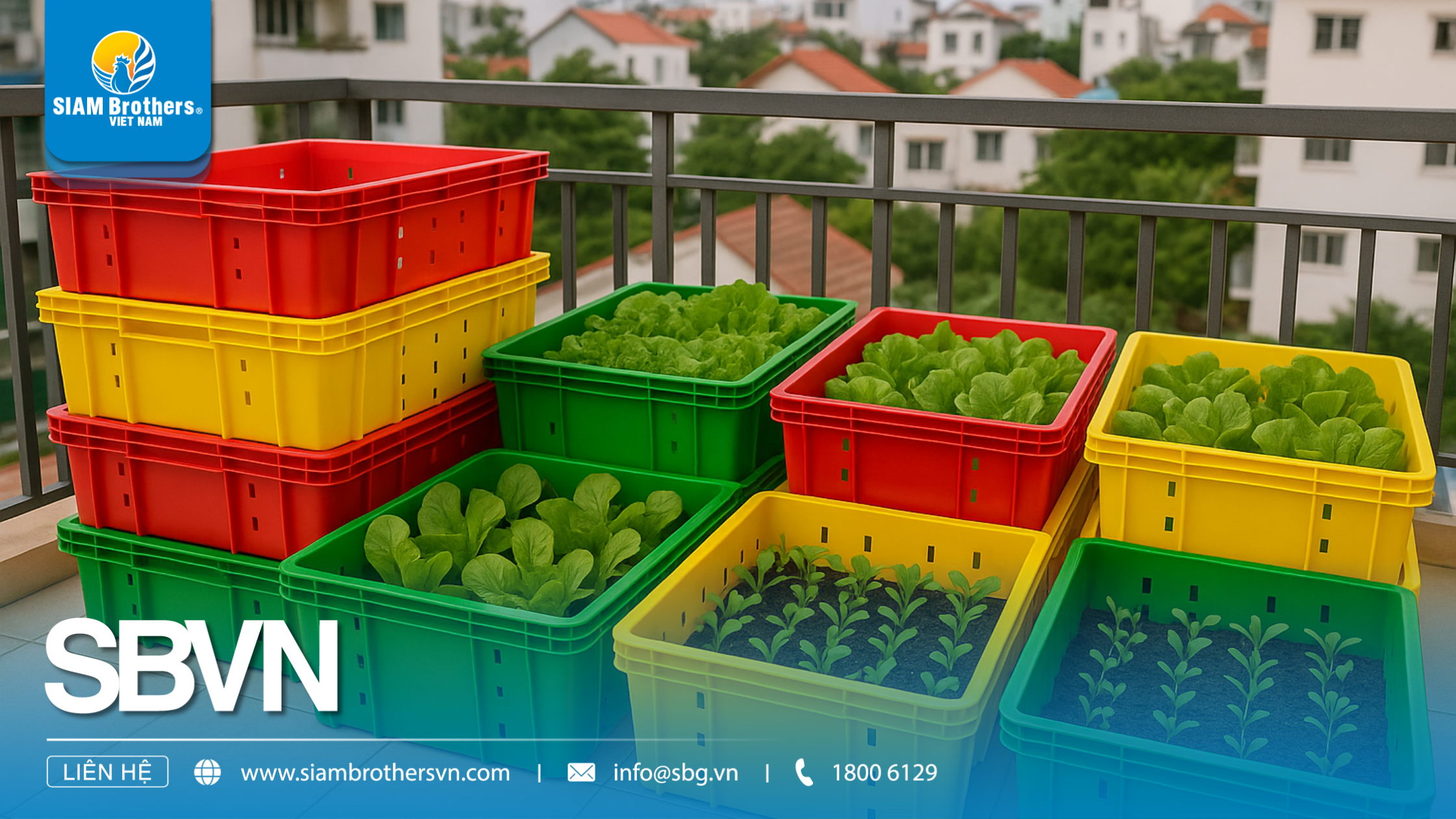 Khay nhựa HDPE là gì? Ưu điểm vượt trội so với các loại khay thông thường