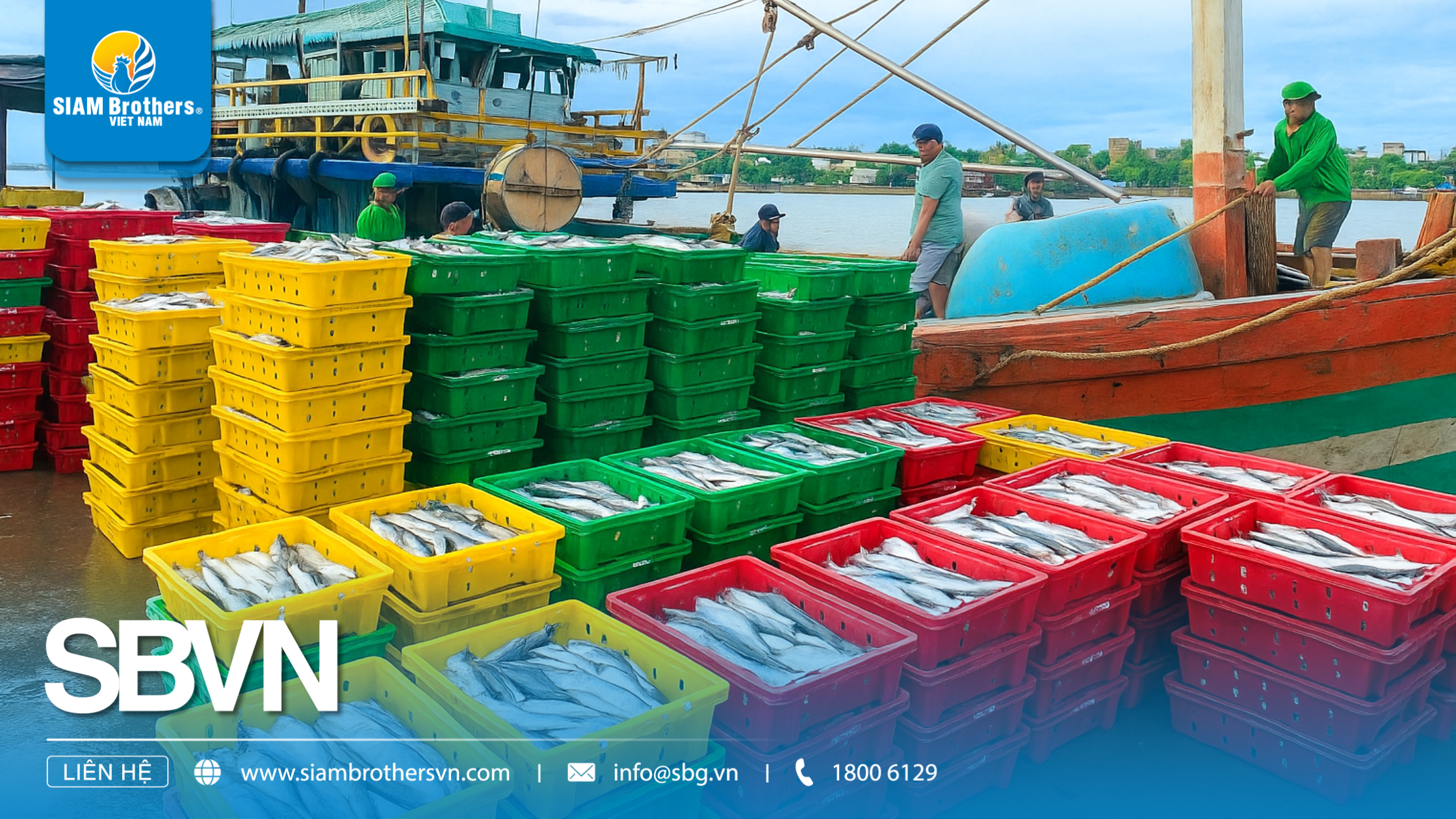 Khay nhựa HDPE là gì? Ưu điểm vượt trội so với các loại khay thông thường