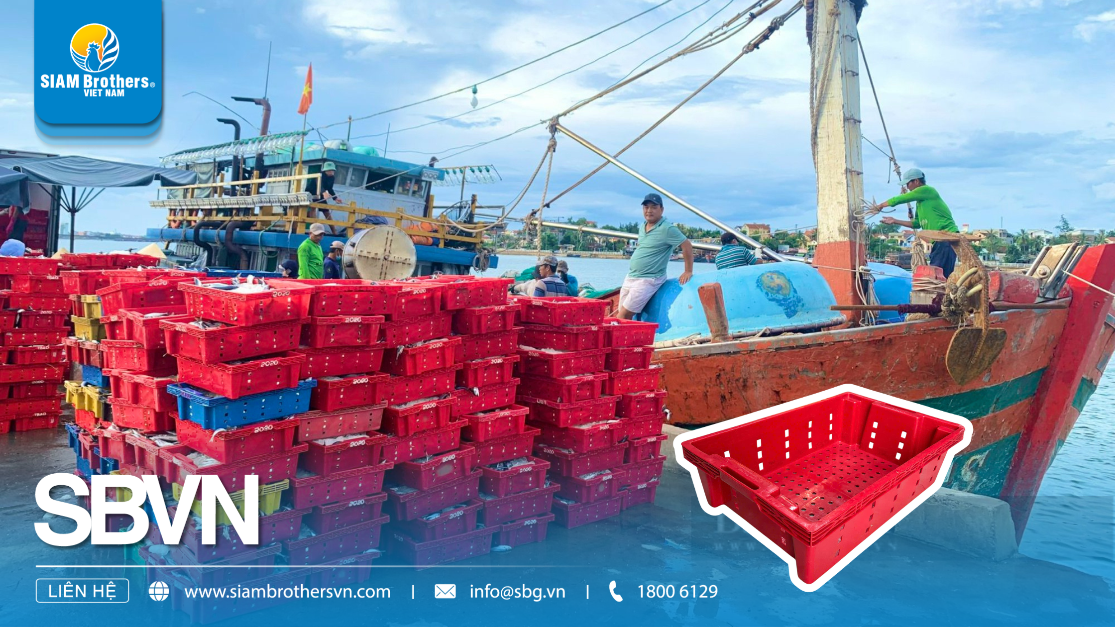 Khay nhựa màu đỏ – Giải pháp đựng hàng lý tưởng cho ngành nông sản và thủy sản