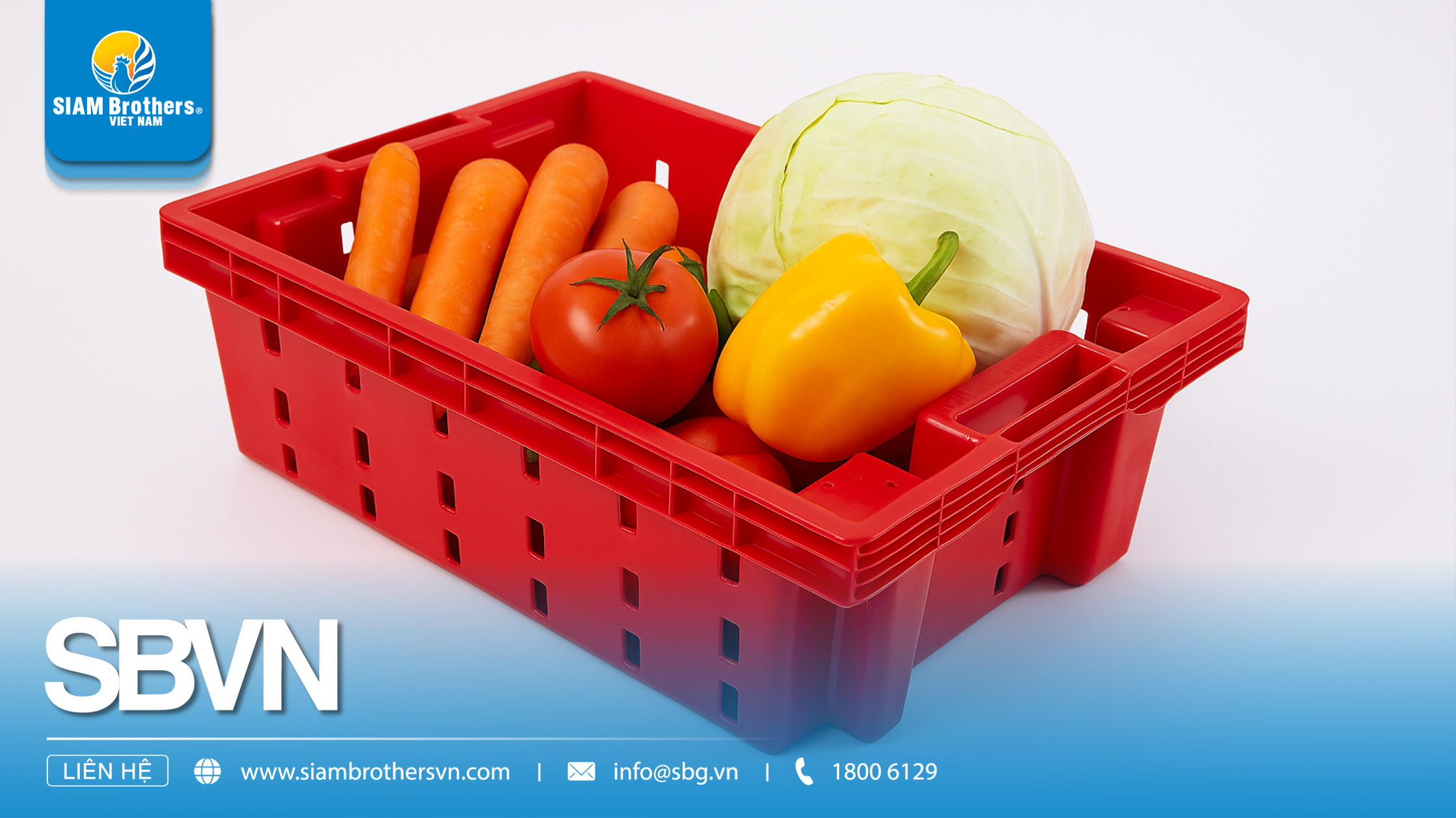 Khay nhựa màu đỏ – Giải pháp đựng hàng lý tưởng cho ngành nông sản và thủy sản