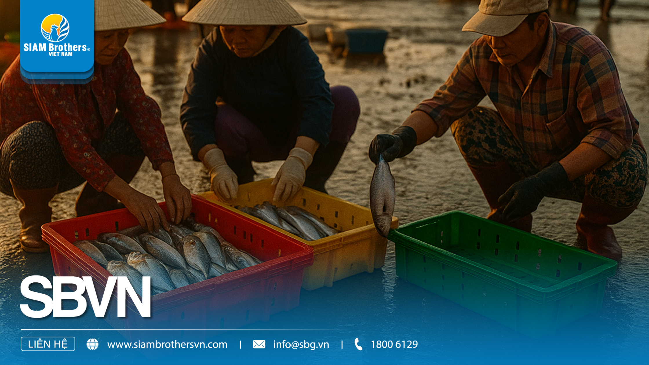 Khay nhựa màu đỏ – Giải pháp đựng hàng lý tưởng cho ngành nông sản và thủy sản