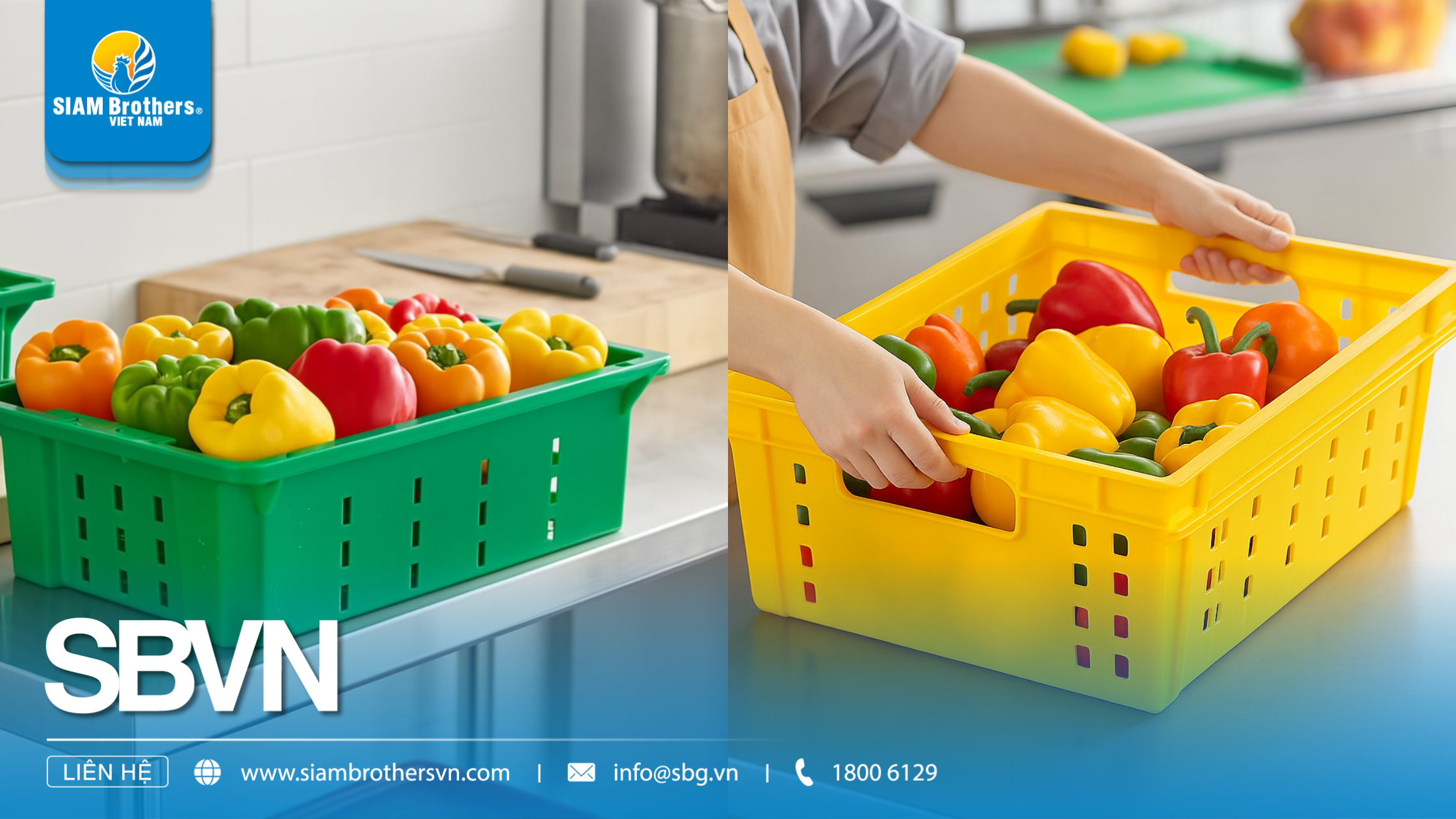 Hướng dẫn chọn và mua khay nhựa PP phù hợp: kích thước, độ dày, ứng dụng