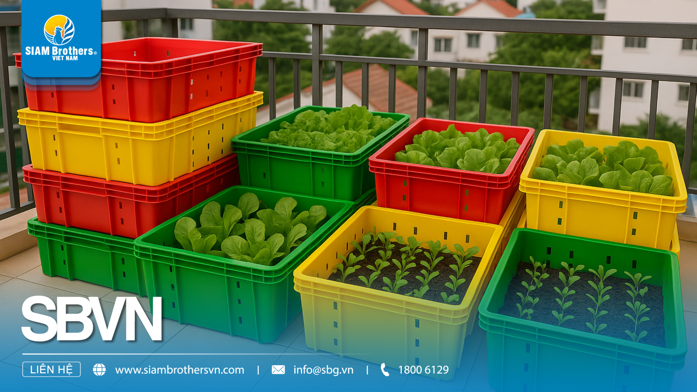 Kinh nghiệm chọn mua khay nhựa trồng rau thủy canh chất lượng, giá tốt