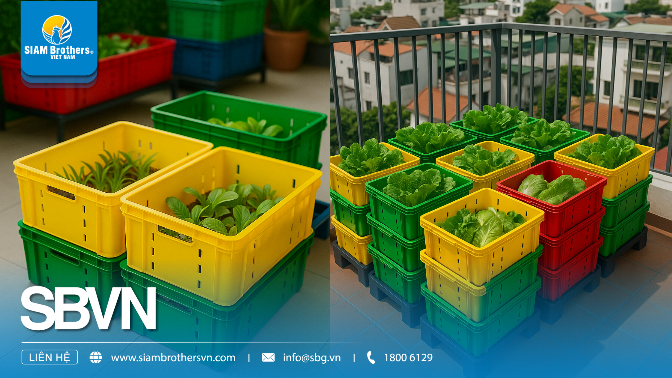 Hướng dẫn chi tiết chọn mua khay nhựa trồng rau phù hợp cho gia đình & nông nghiệp