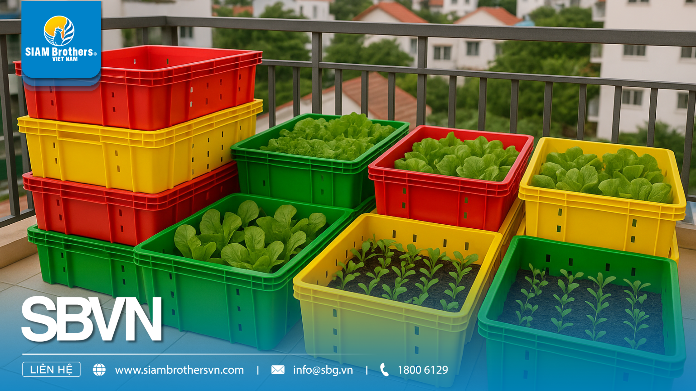 Hướng dẫn chi tiết chọn mua khay nhựa trồng rau phù hợp cho gia đình & nông nghiệp
