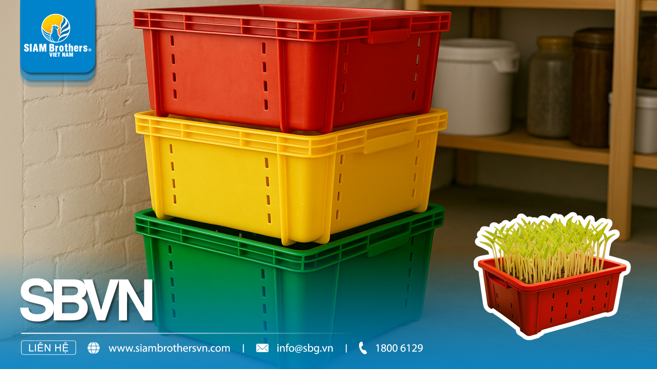 Khay nhựa ươm cây giống là gì? Cấu tạo, công dụng và cách sử dụng hiệu quả nhất