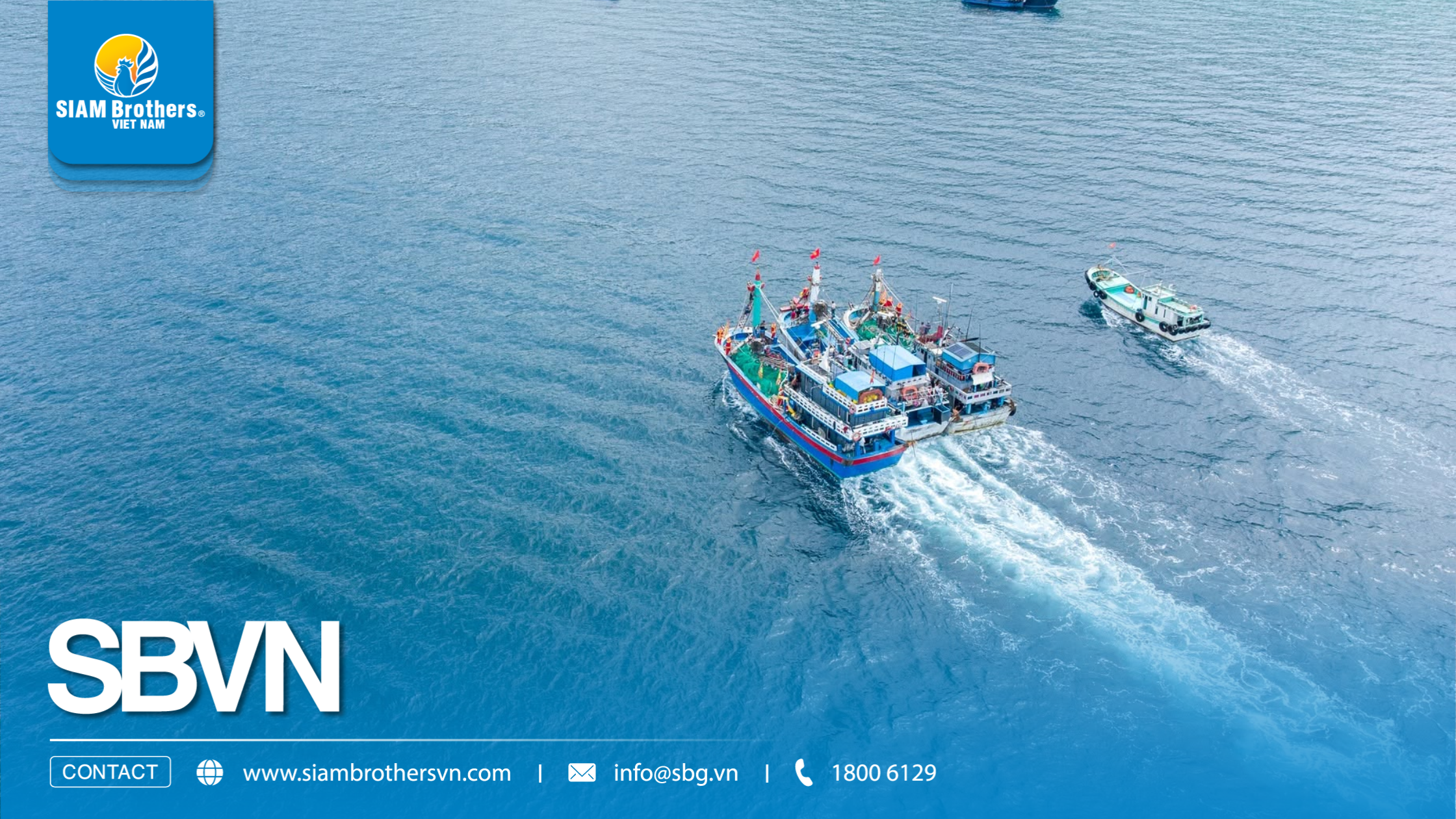 Lễ hội cầu ngư 29/7