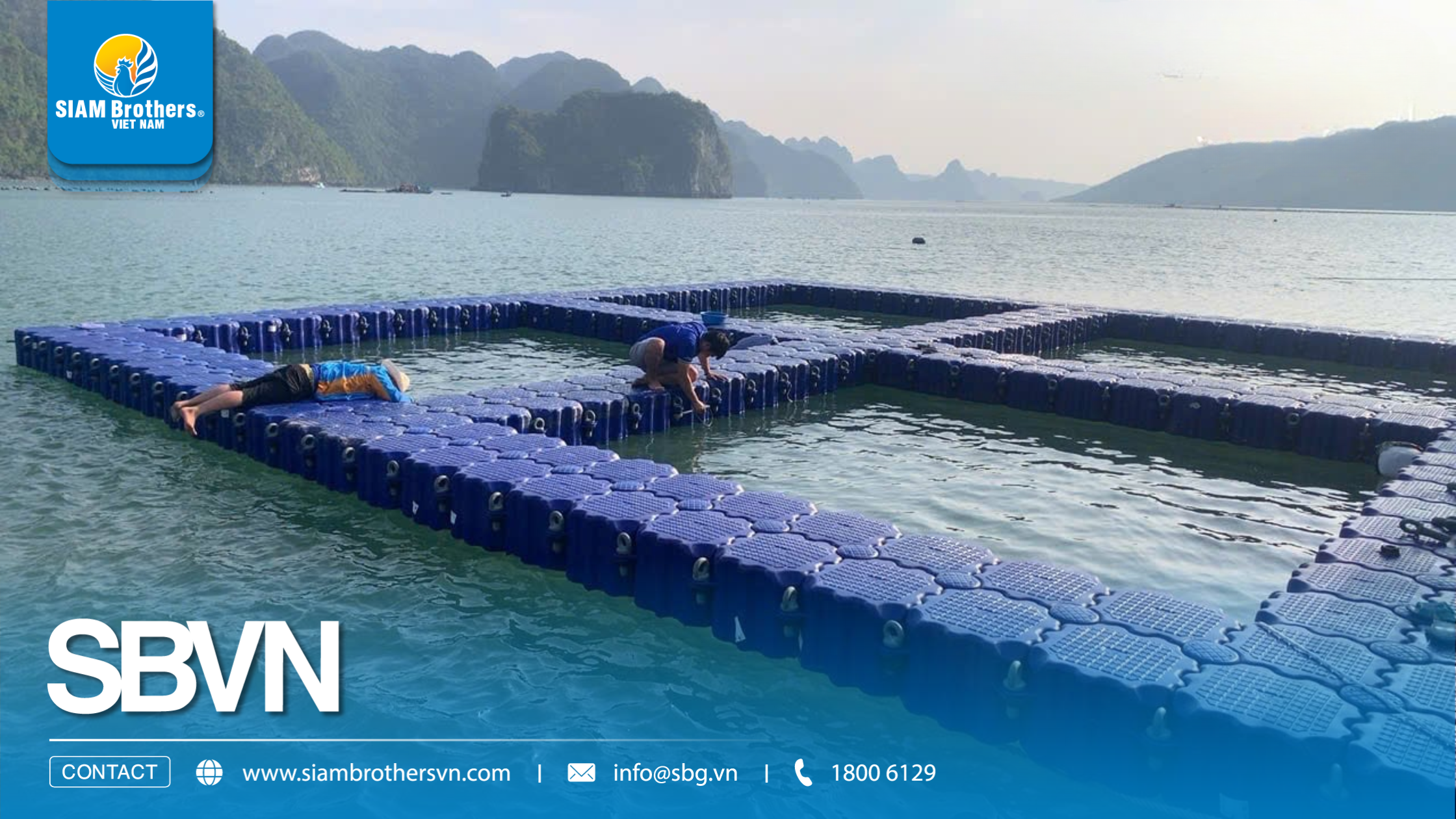 Dự án lồng bè phao HDPE Quảng Ninh: Mô hình 4 ô đôi bền vững 10-15 năm