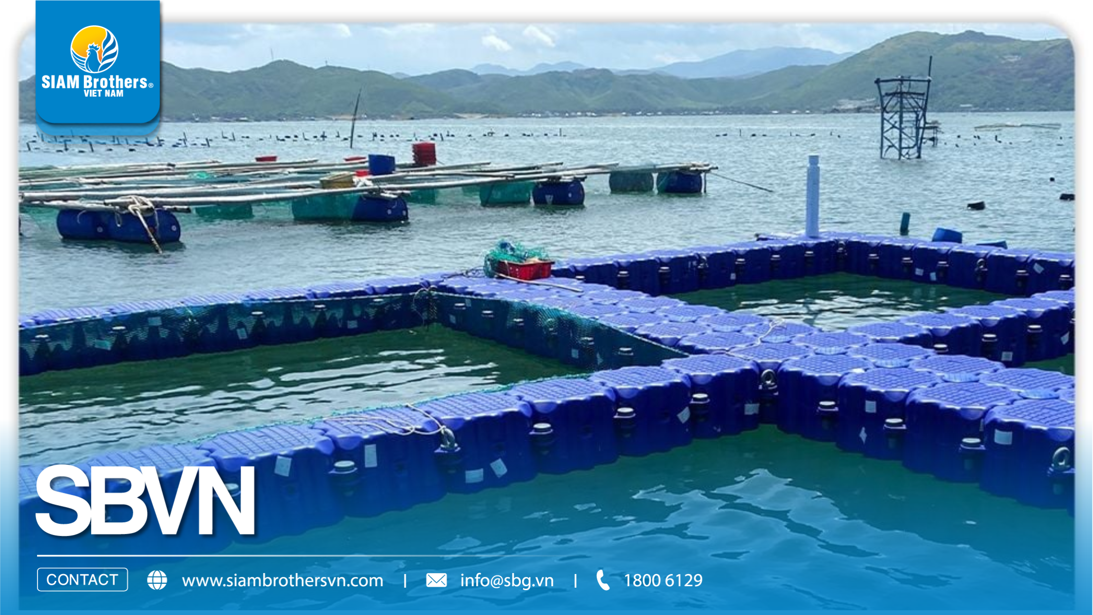 [Quảng Ninh] Hạ thủy dự án 8 ô lồng bè phao HDPE - Giải pháp nuôi trồng bền vững