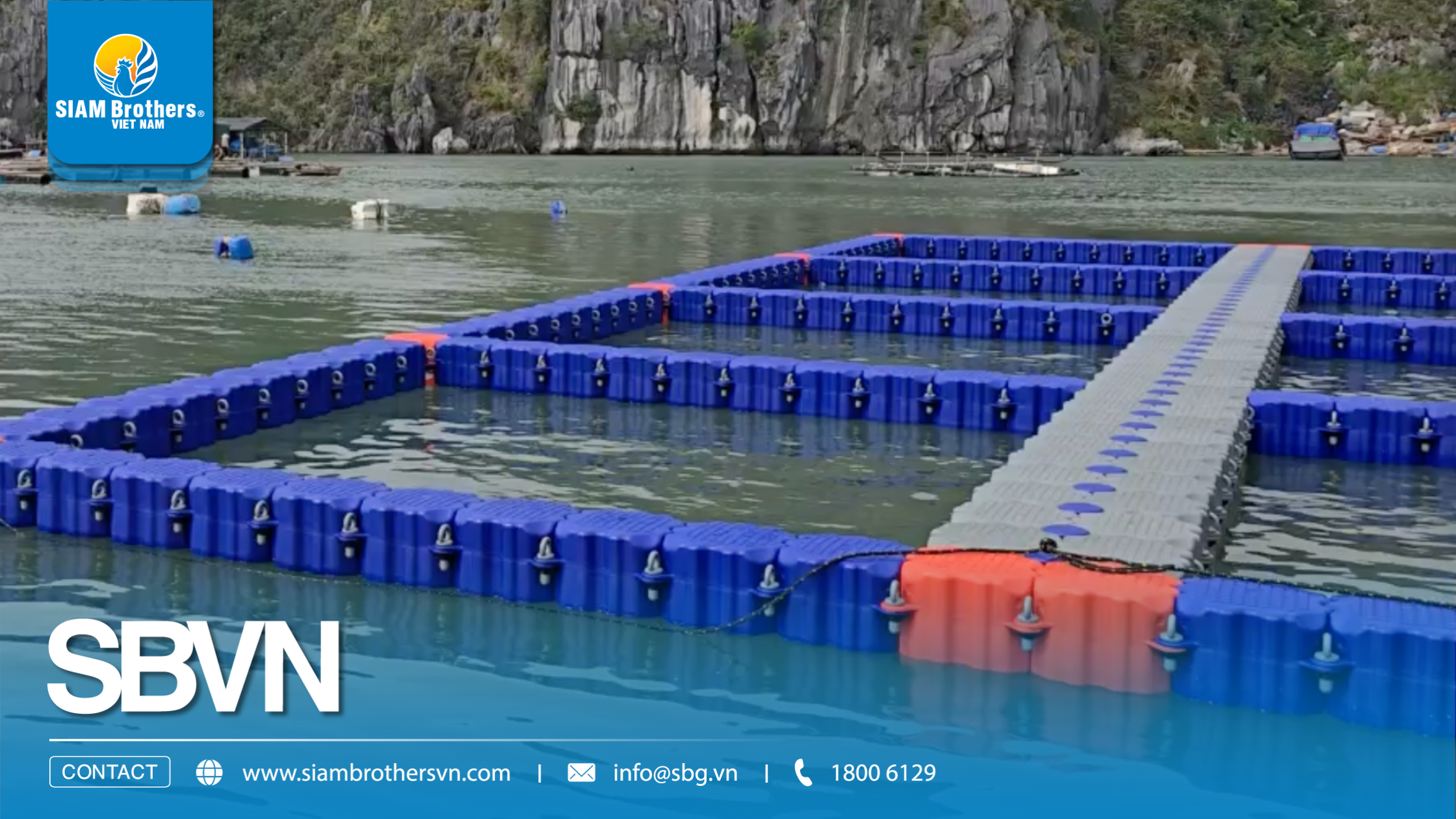 [Quảng Ninh] Hạ thủy dự án 8 ô lồng bè phao HDPE - Giải pháp nuôi trồng bền vững