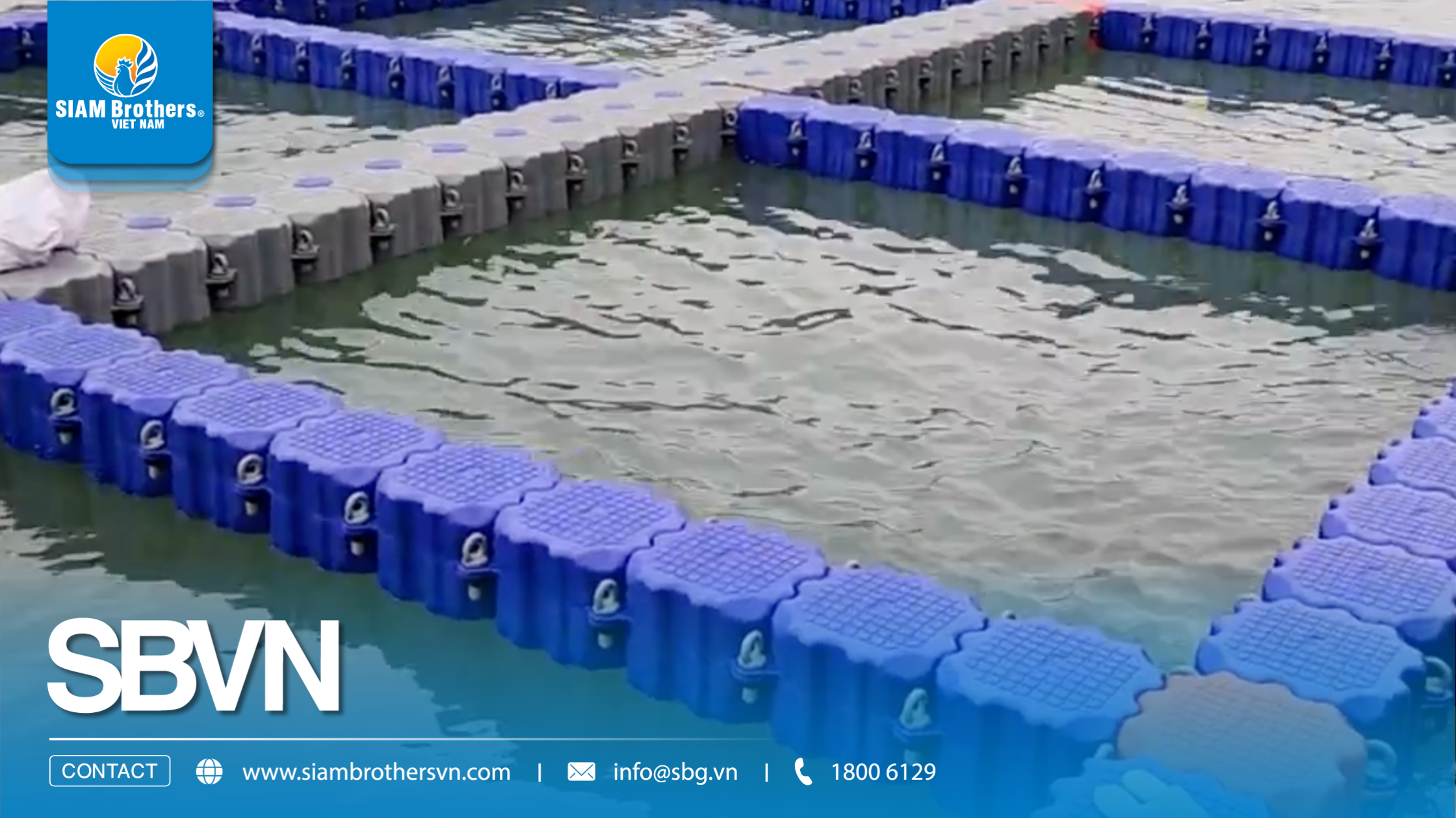 [Quảng Ninh] Hạ thủy dự án 8 ô lồng bè phao HDPE - Giải pháp nuôi trồng bền vững