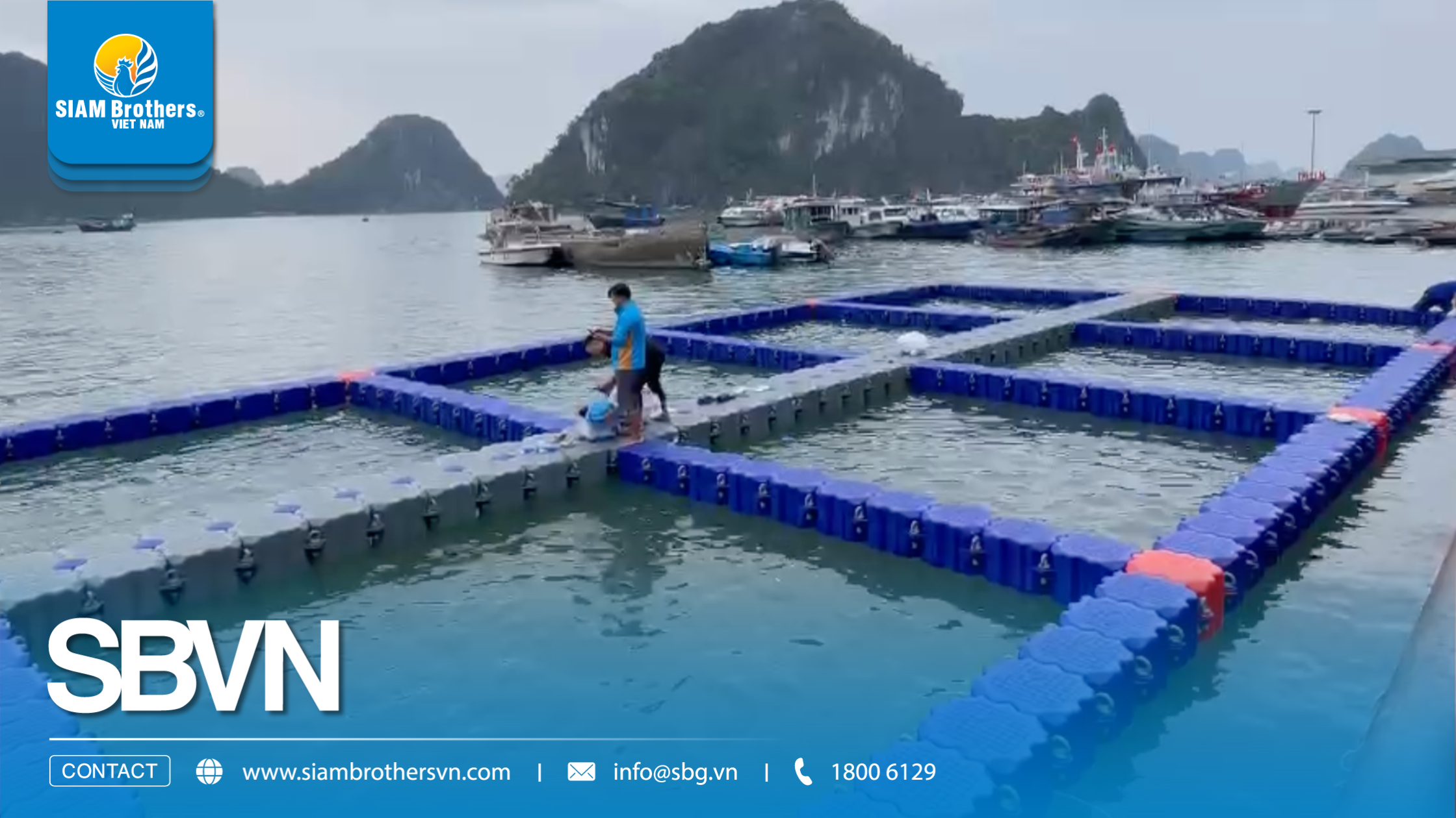 [Quảng Ninh] Hạ thủy dự án 8 ô lồng bè phao HDPE - Giải pháp nuôi trồng bền vững