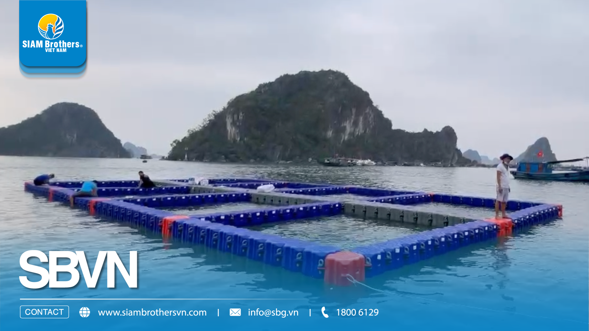 [Quảng Ninh] Hạ thủy dự án 8 ô lồng bè phao HDPE - Giải pháp nuôi trồng bền vững