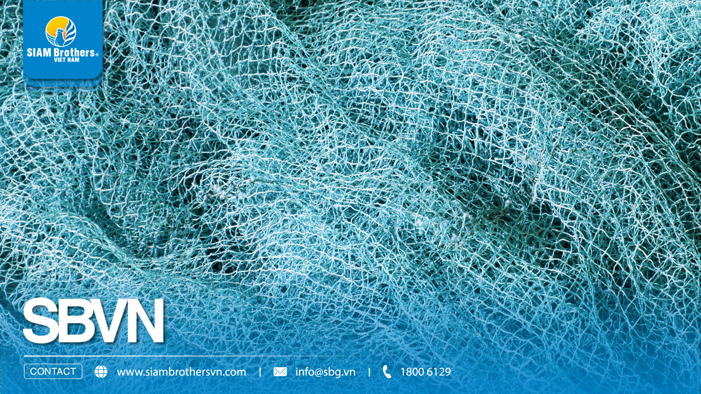 Kinh nghiệm chọn lưới HDPE nuôi cá lồng bè bền 5-10 năm