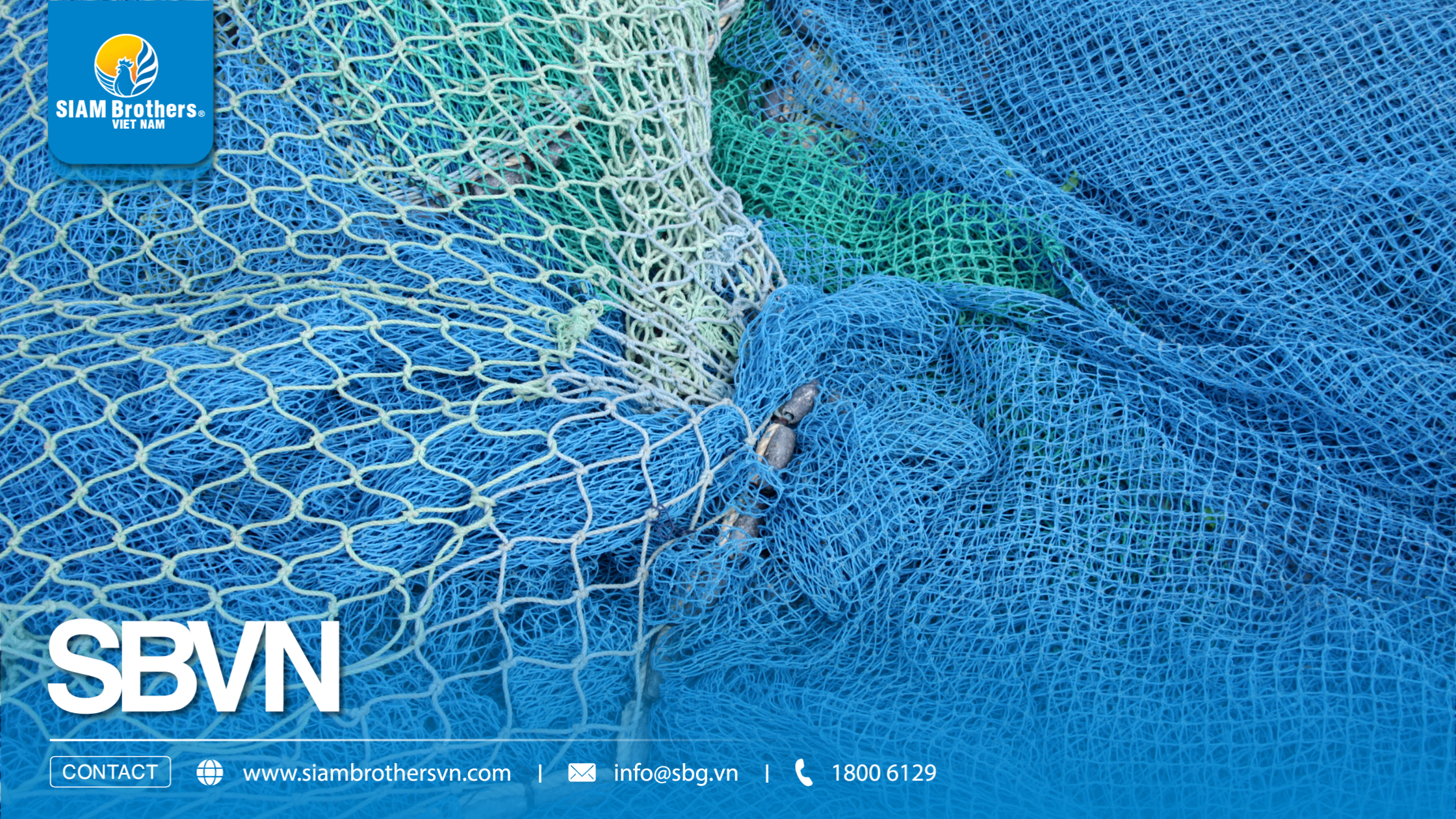 Kinh nghiệm chọn lưới HDPE nuôi cá lồng bè bền 5-10 năm