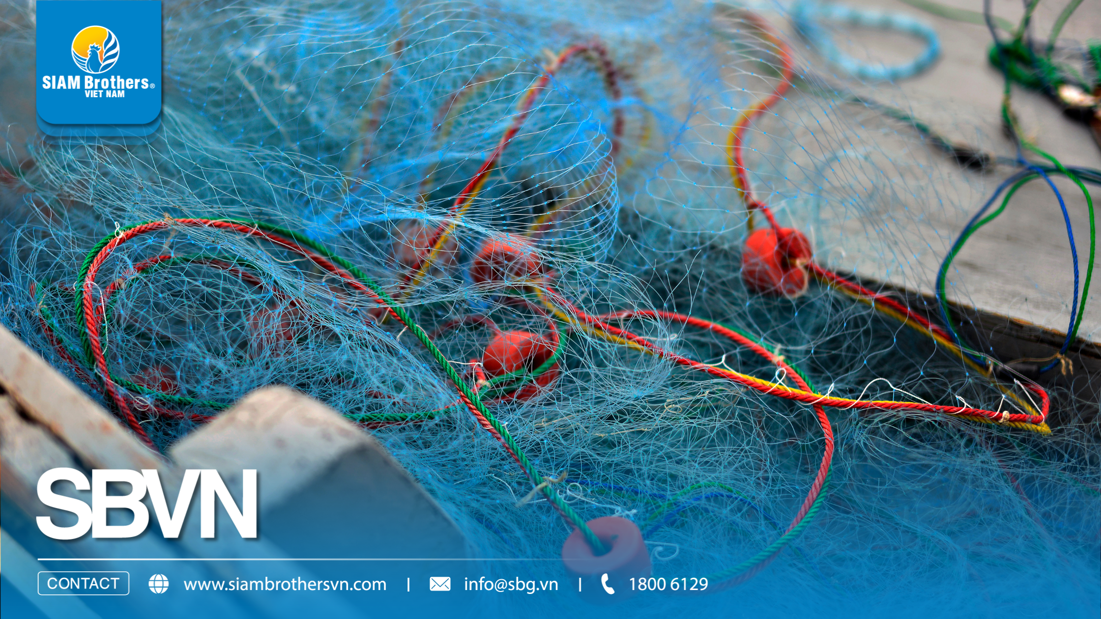 Kinh nghiệm chọn lưới HDPE nuôi cá lồng bè bền 5-10 năm