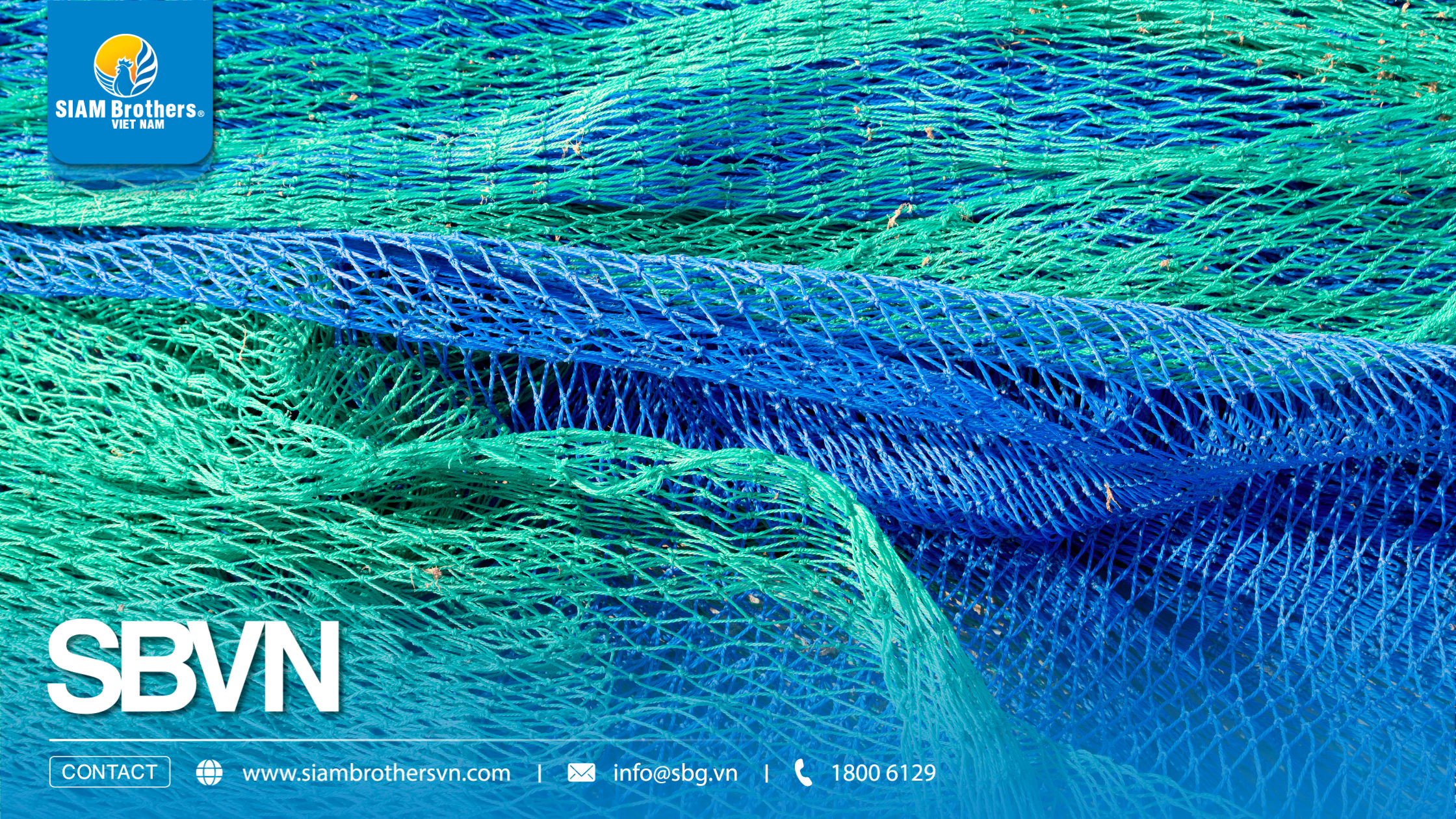 So sánh lưới nhựa dẻo HDPE, PE và PP: Nên chọn loại nào cho từng nhu cầu?