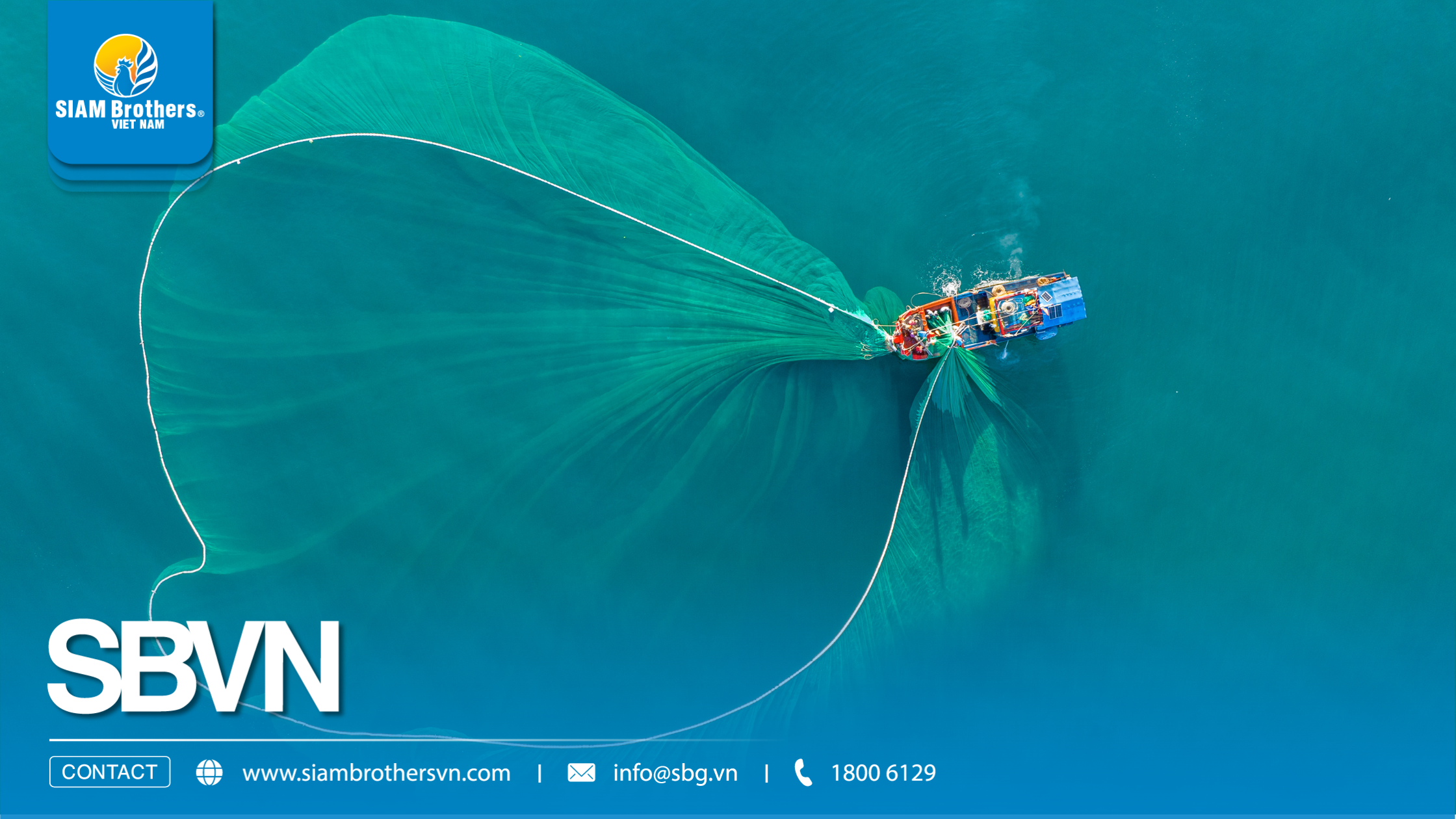 So sánh lưới nhựa dẻo HDPE, PE và PP: Nên chọn loại nào cho từng nhu cầu?