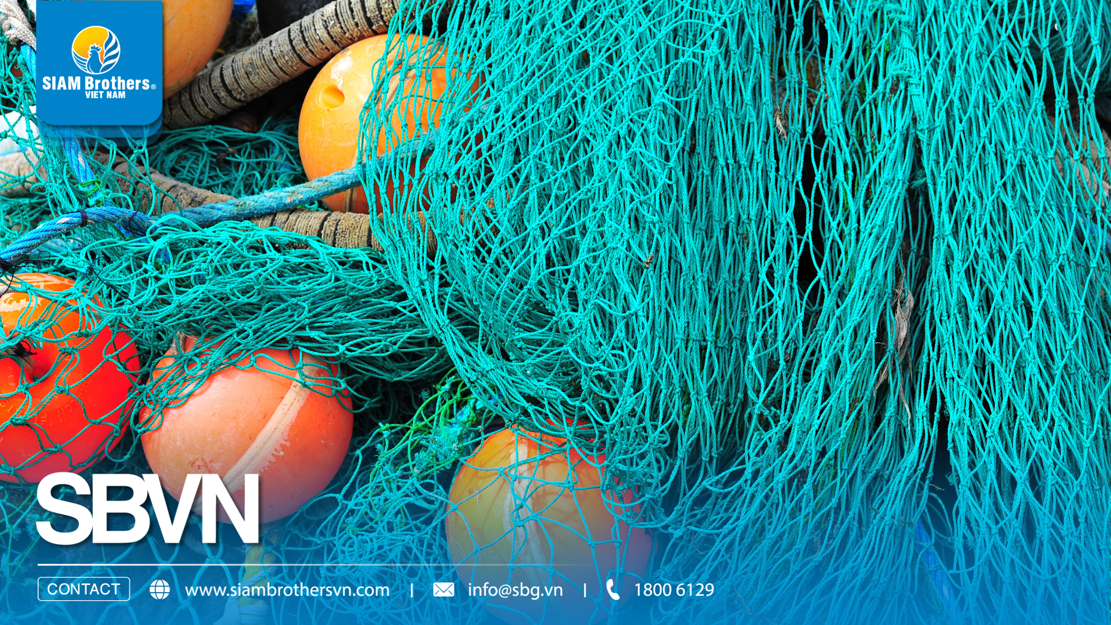 So sánh lưới nhựa dẻo HDPE, PE và PP: Nên chọn loại nào cho từng nhu cầu?