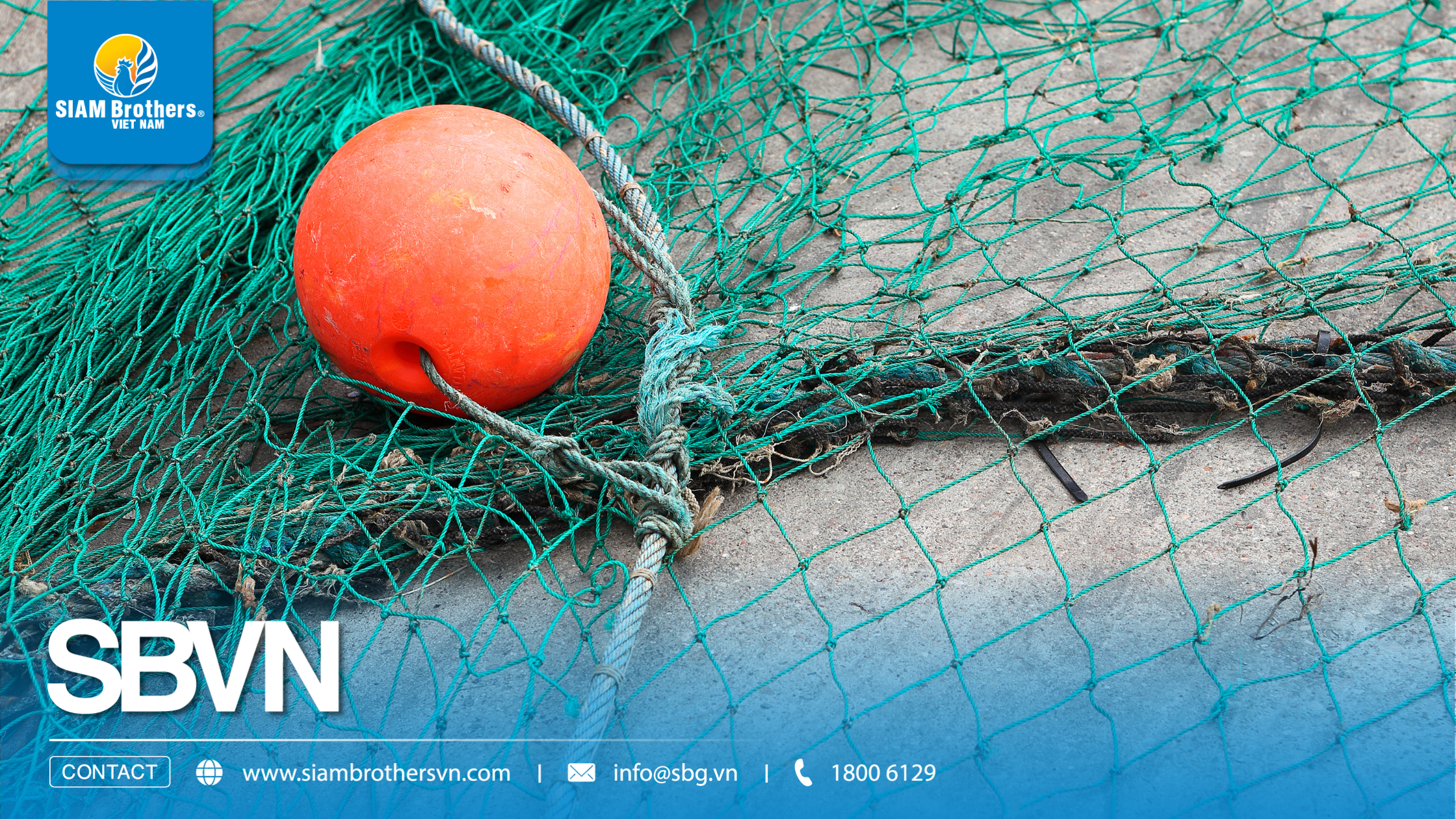 So sánh lưới nhựa dẻo HDPE, PE và PP: Nên chọn loại nào cho từng nhu cầu?