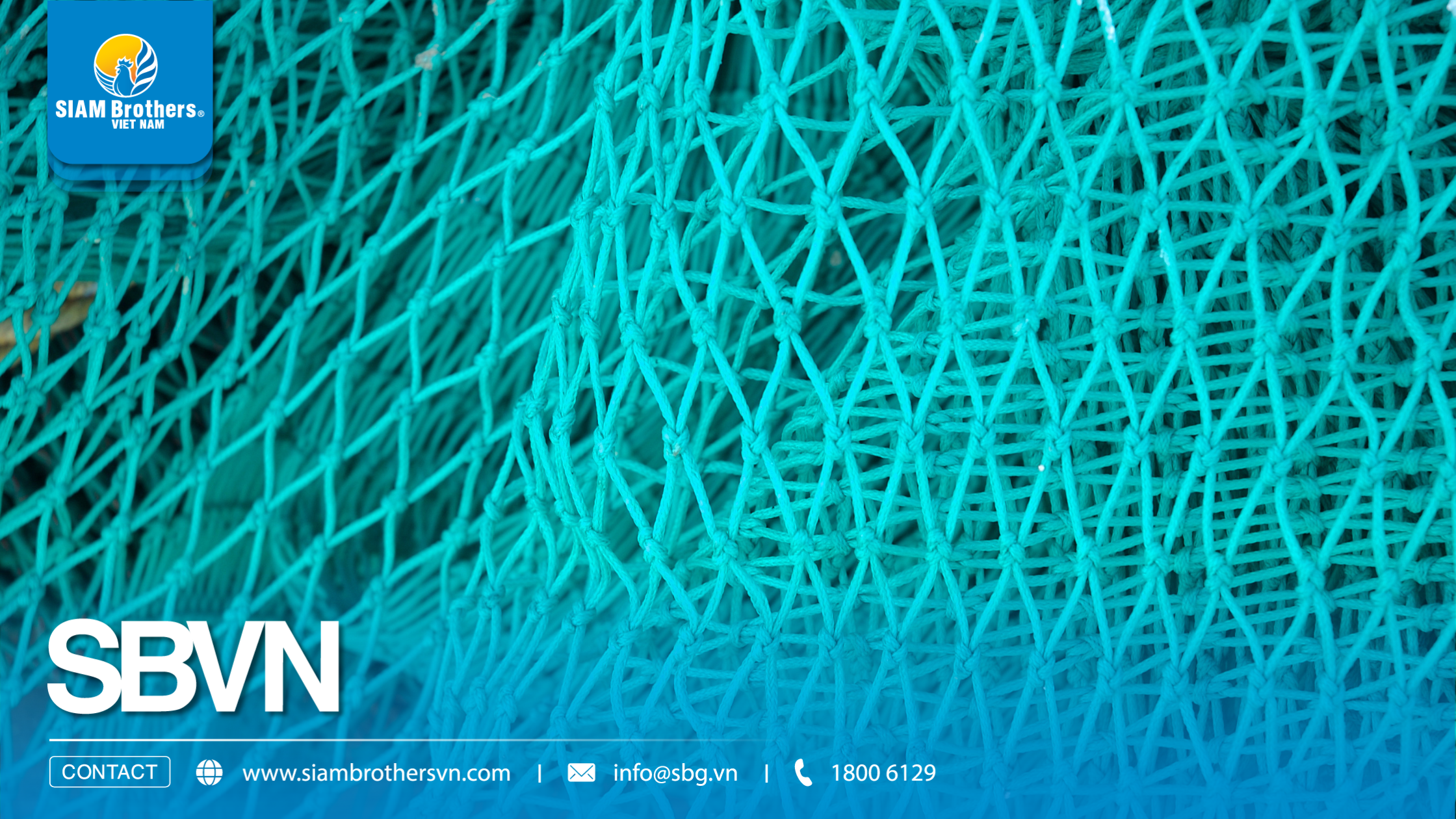 Vì sao lưới nhựa HDPE nhanh mục, rách? 5 sai lầm khi chọn lưới