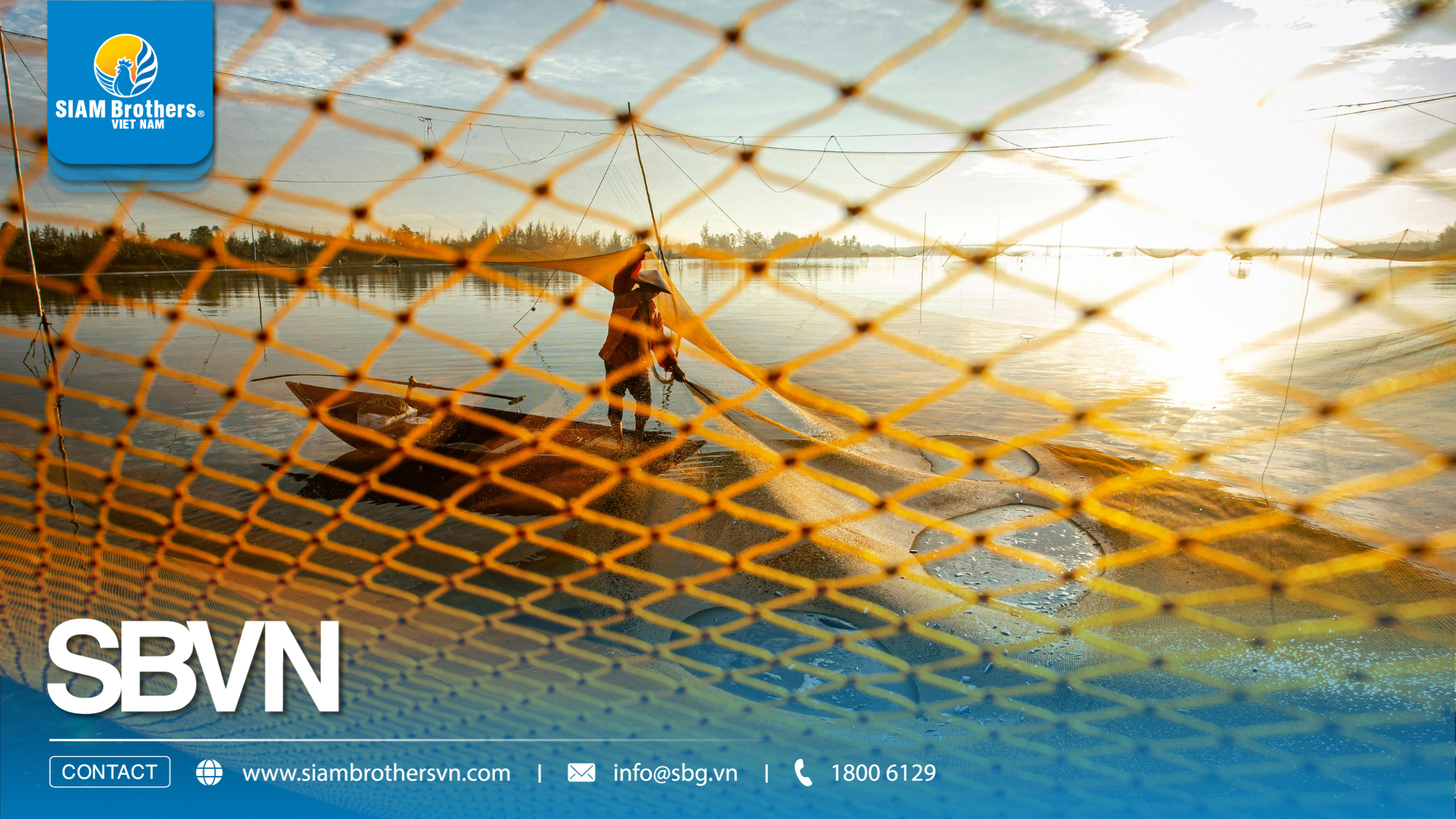 Lưới nhựa siêu bền có thực sự tốt hơn lưới thường? So sánh chi phí 3 năm sử dụng