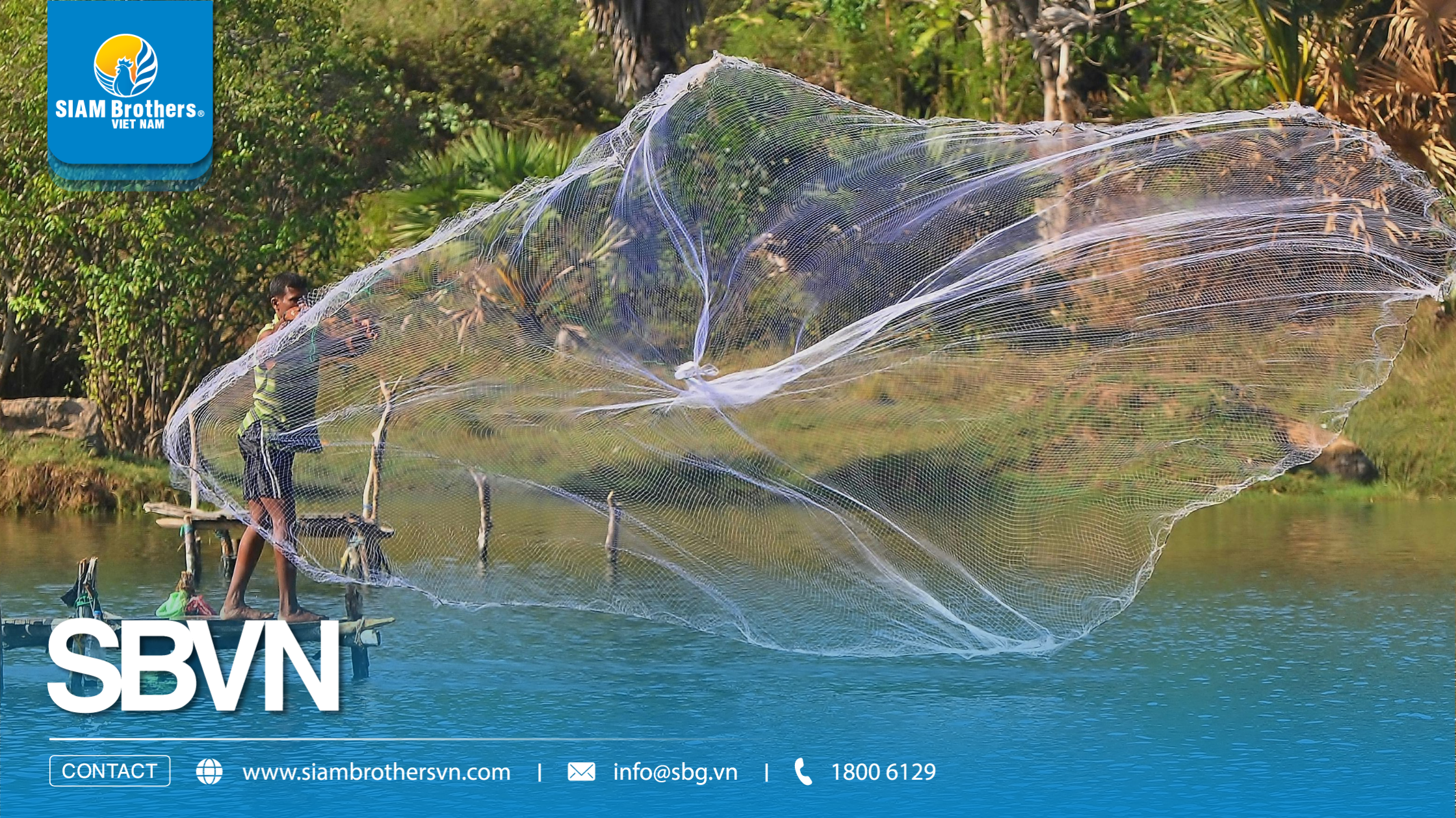 Lưới nhựa siêu bền có thực sự tốt hơn lưới thường? So sánh chi phí 3 năm sử dụng